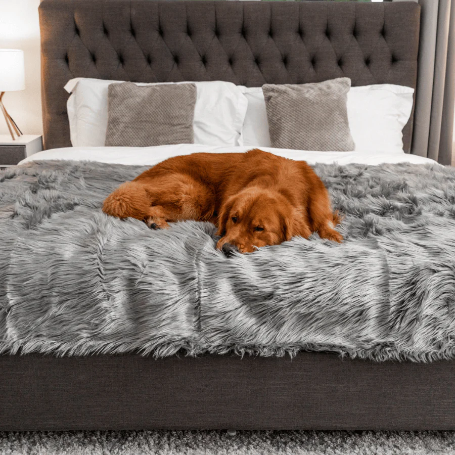 PupProtector™ Waterproof Throw Blanket - Charcoal Grey - Image 9