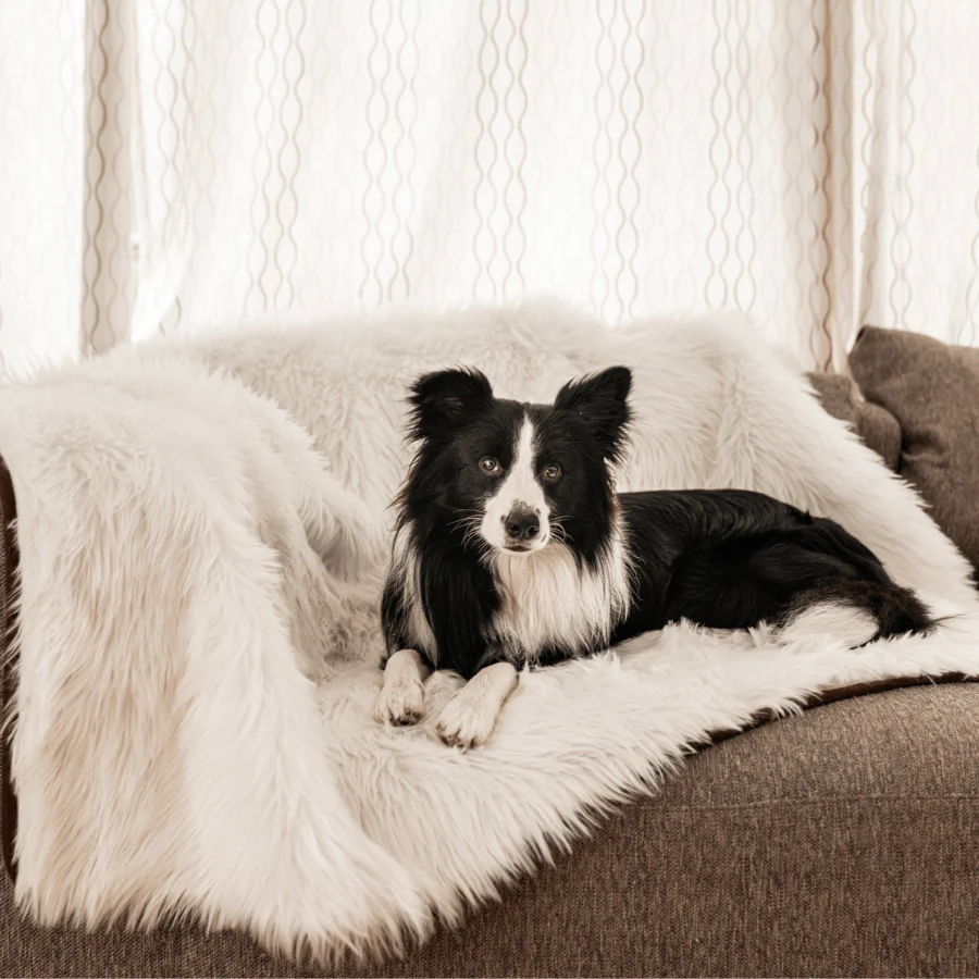 PupProtector™ Waterproof Throw Blanket - Polar White - Image 5