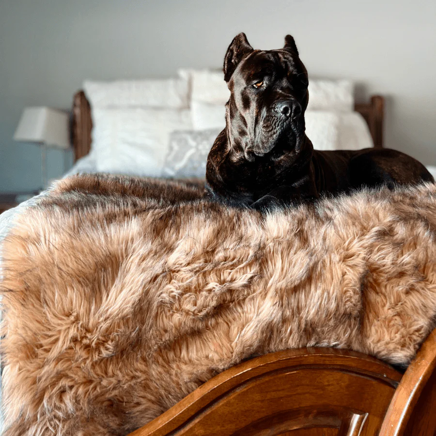 PupProtector™ Waterproof Throw Blanket - Sable Tan - Image 8
