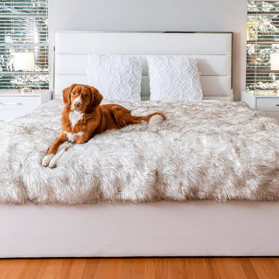 PupProtector™ Waterproof Throw Blanket - White with Brown Accents - Image 10