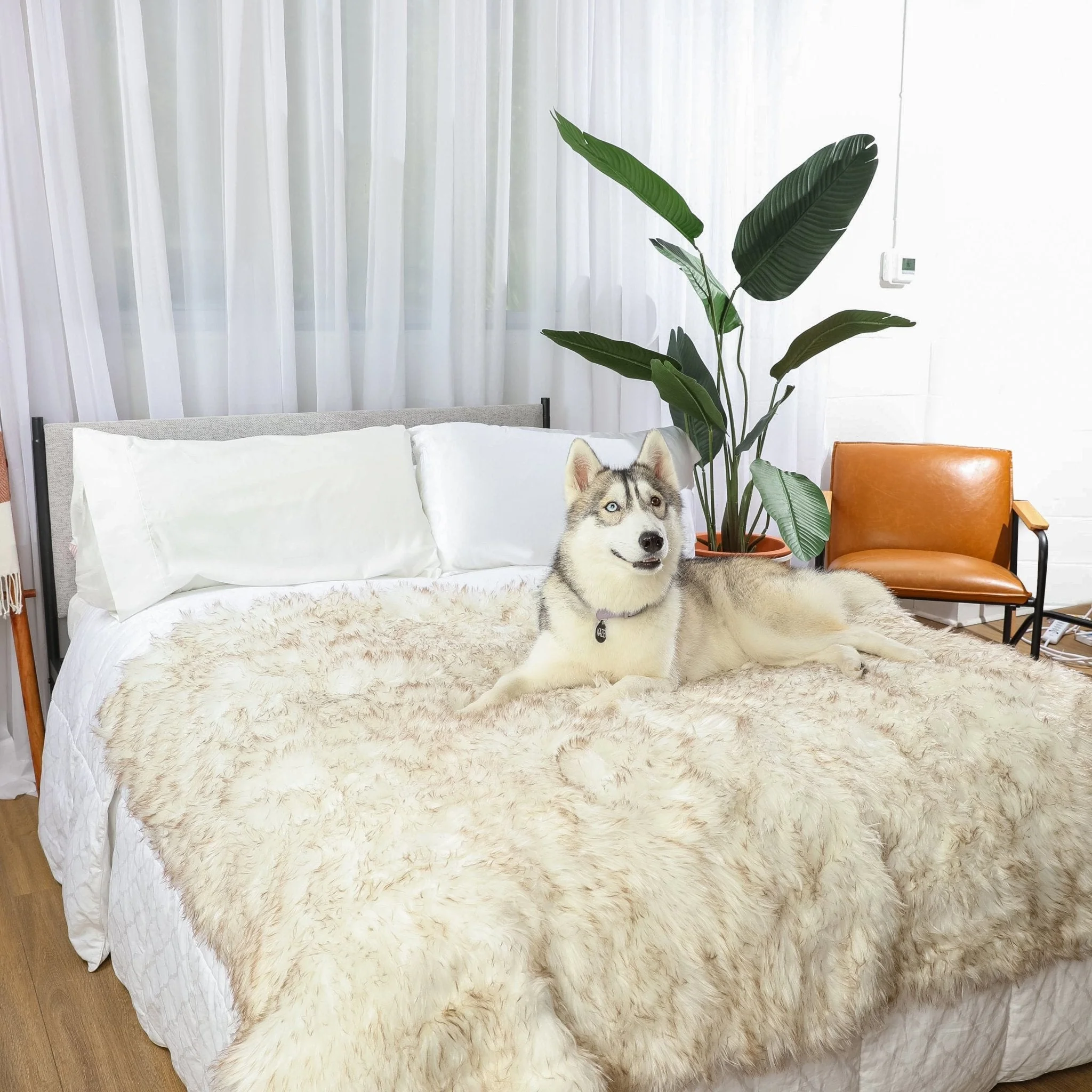 PupProtector™ Waterproof Throw Blanket - White with Brown Accents - Image 11