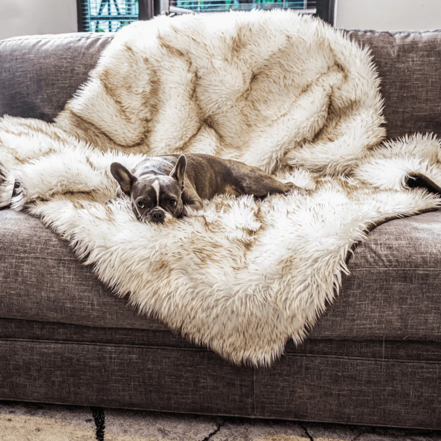 PupProtector™ Waterproof Throw Blanket - White with Brown Accents - Image 6