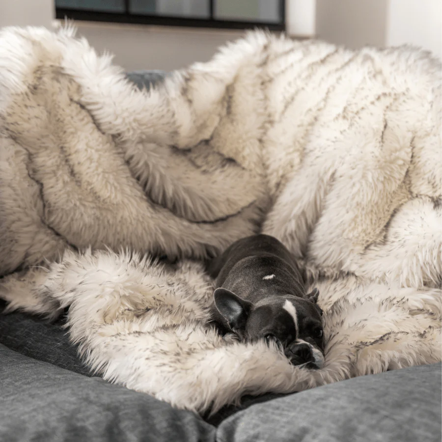 PupProtector™ Waterproof Throw Blanket - White with Brown Accents - Image 8