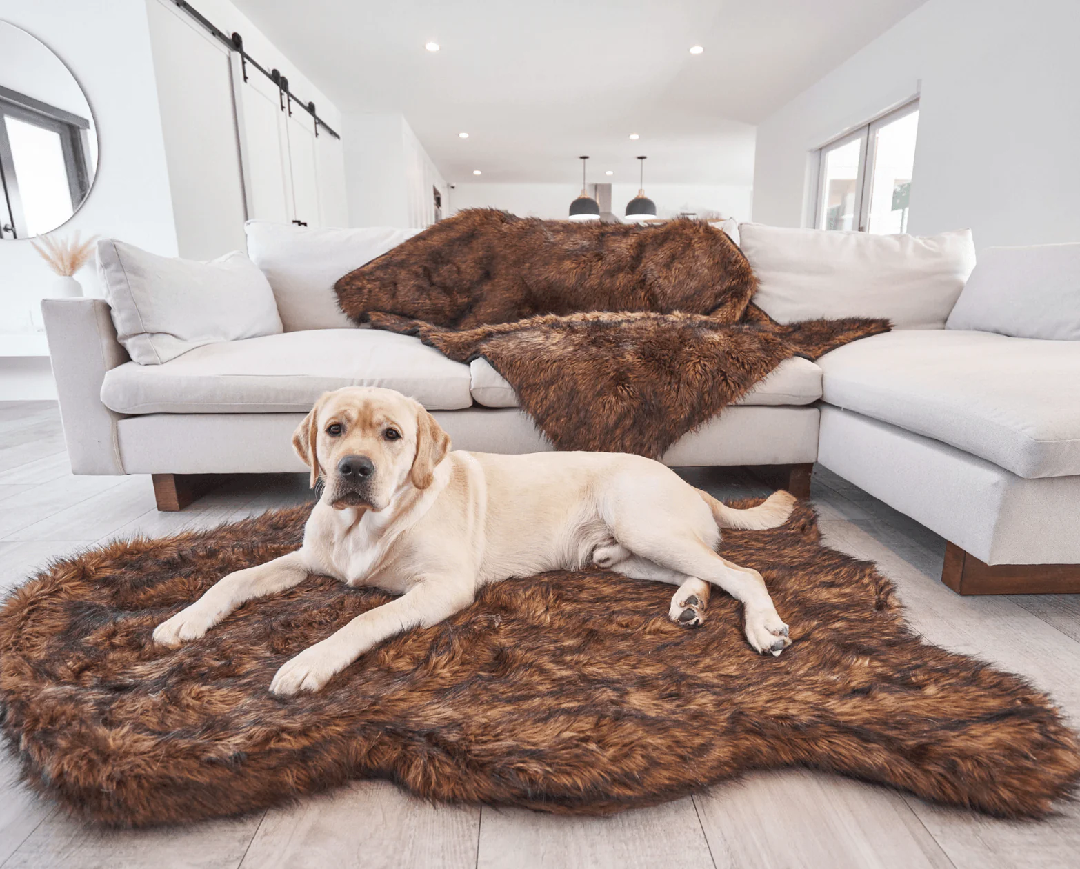 PupRug by Paw.com® Faux Fur Orthopedic Dog Bed - Curve Brown - Image 7