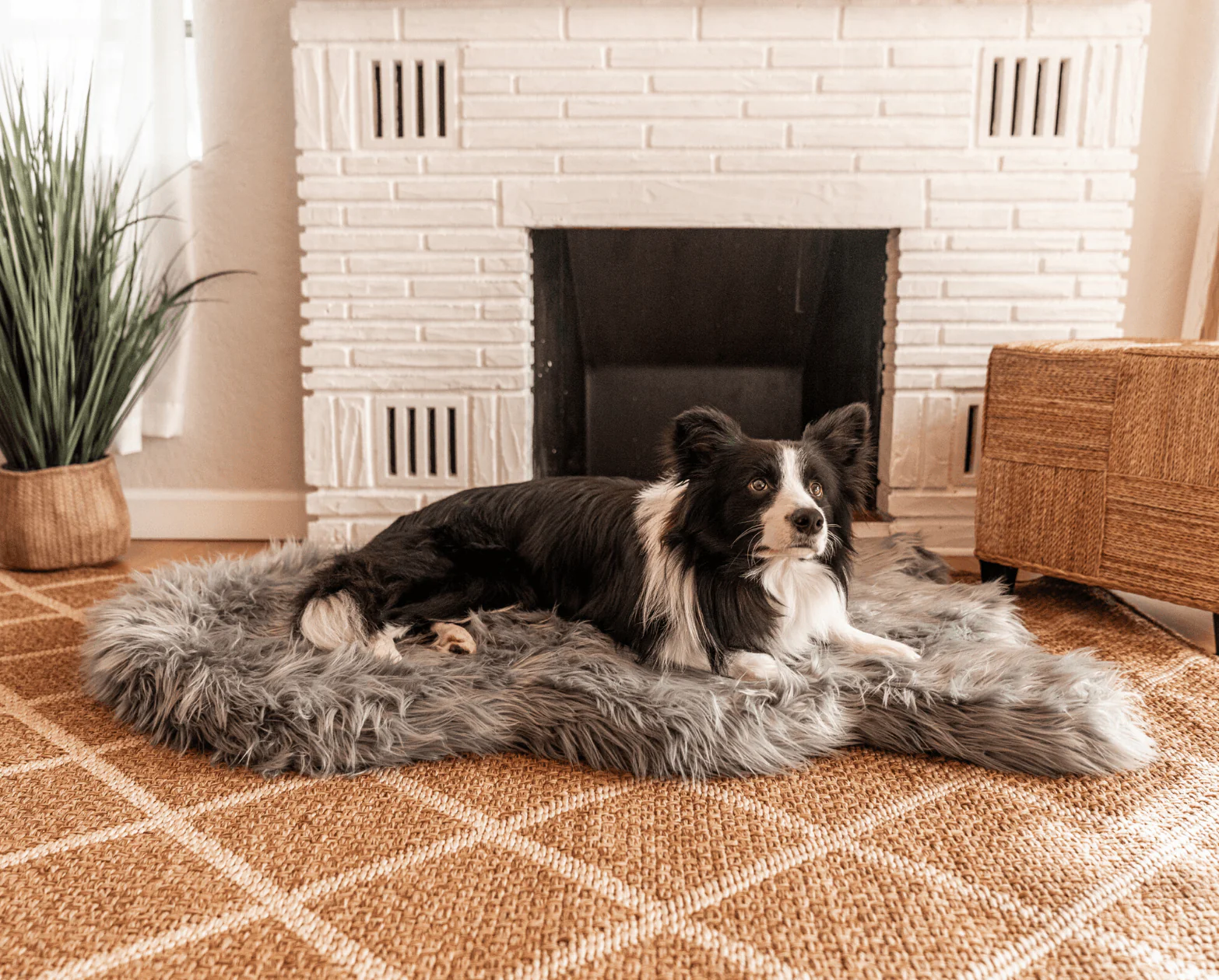 PupRug by Paw.com® Faux Fur Orthopedic Dog Bed - Curve Charcoal Grey - Image 5