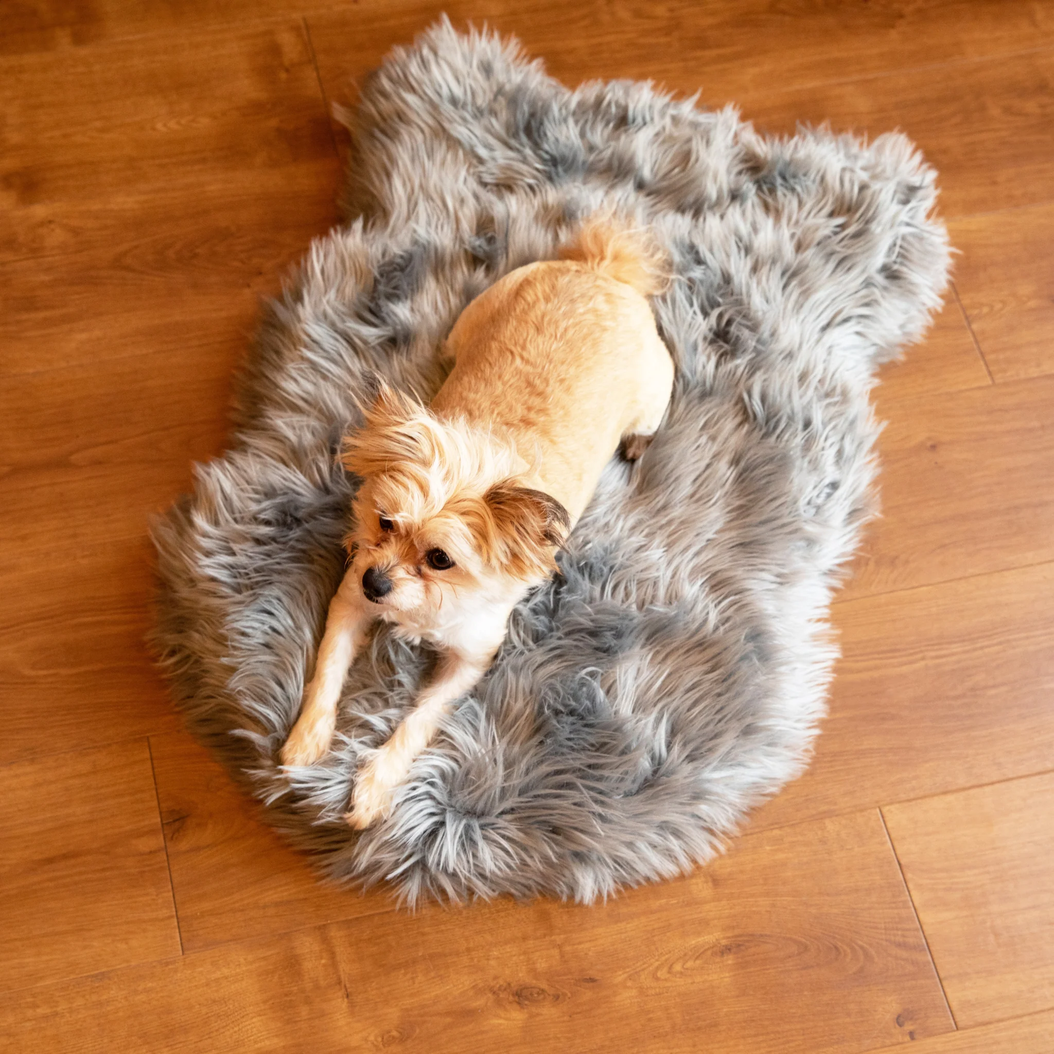PupRug by Paw.com® Faux Fur Orthopedic Dog Bed - Curve Charcoal Grey - Image 7