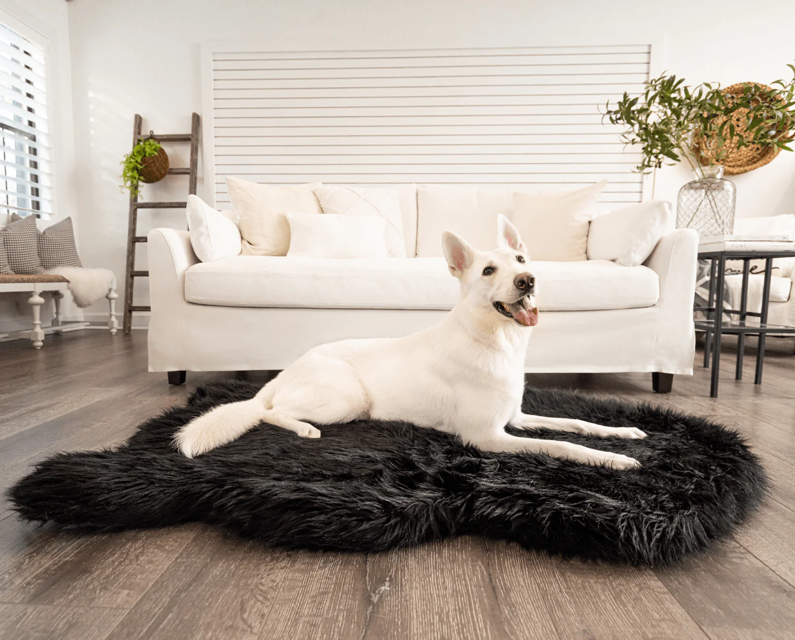 PupRug by Paw.com®  Faux Fur Orthopedic Dog Bed - Curve Midnight Black - Image 2