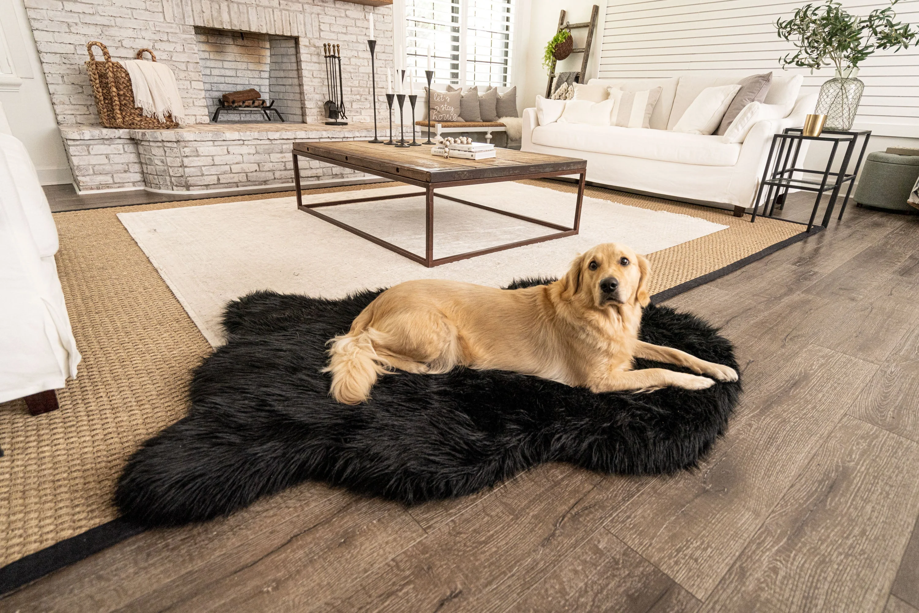 PupRug by Paw.com®  Faux Fur Orthopedic Dog Bed - Curve Midnight Black - Image 6