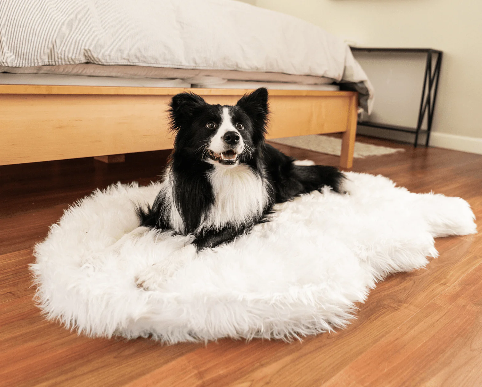 PupRug by Paw.com® Faux Fur Orthopedic Dog Bed - Curve Polar White - Image 10