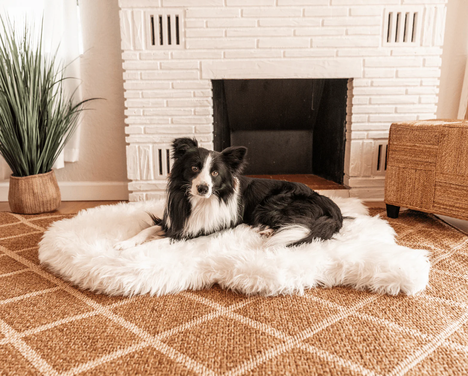 PupRug by Paw.com® Faux Fur Orthopedic Dog Bed - Curve Polar White - Image 2