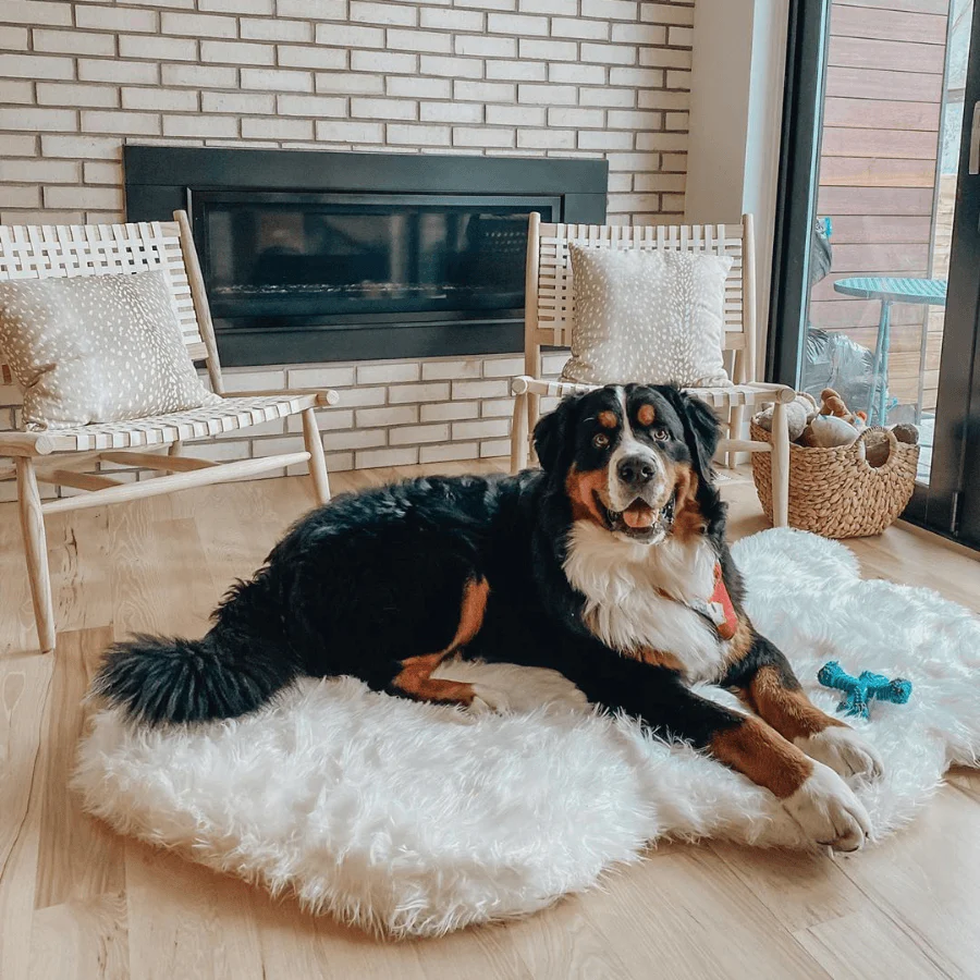 PupRug by Paw.com® Faux Fur Orthopedic Dog Bed - Curve Polar White - Image 4