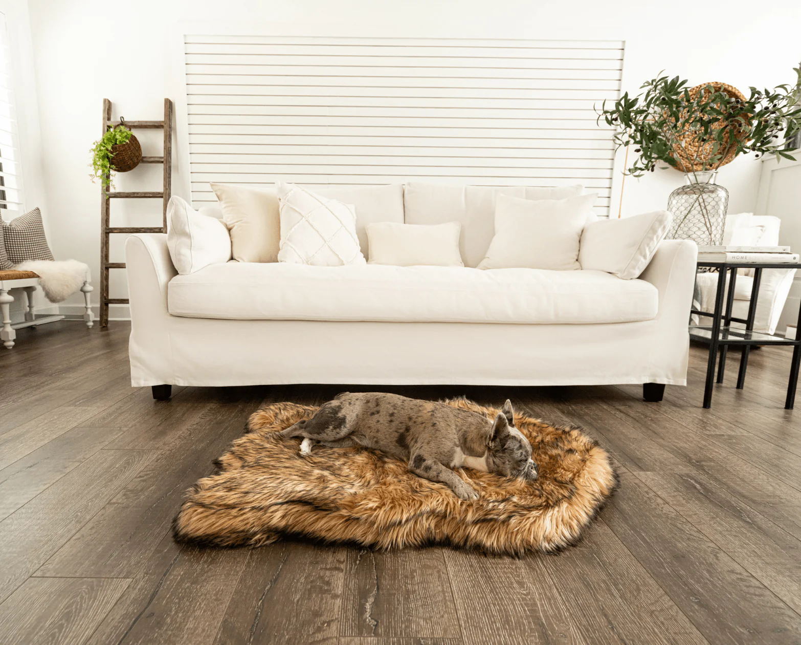 PupRug by Paw.com® Faux Fur Orthopedic Dog Bed - Curve Sable Tan - Image 11