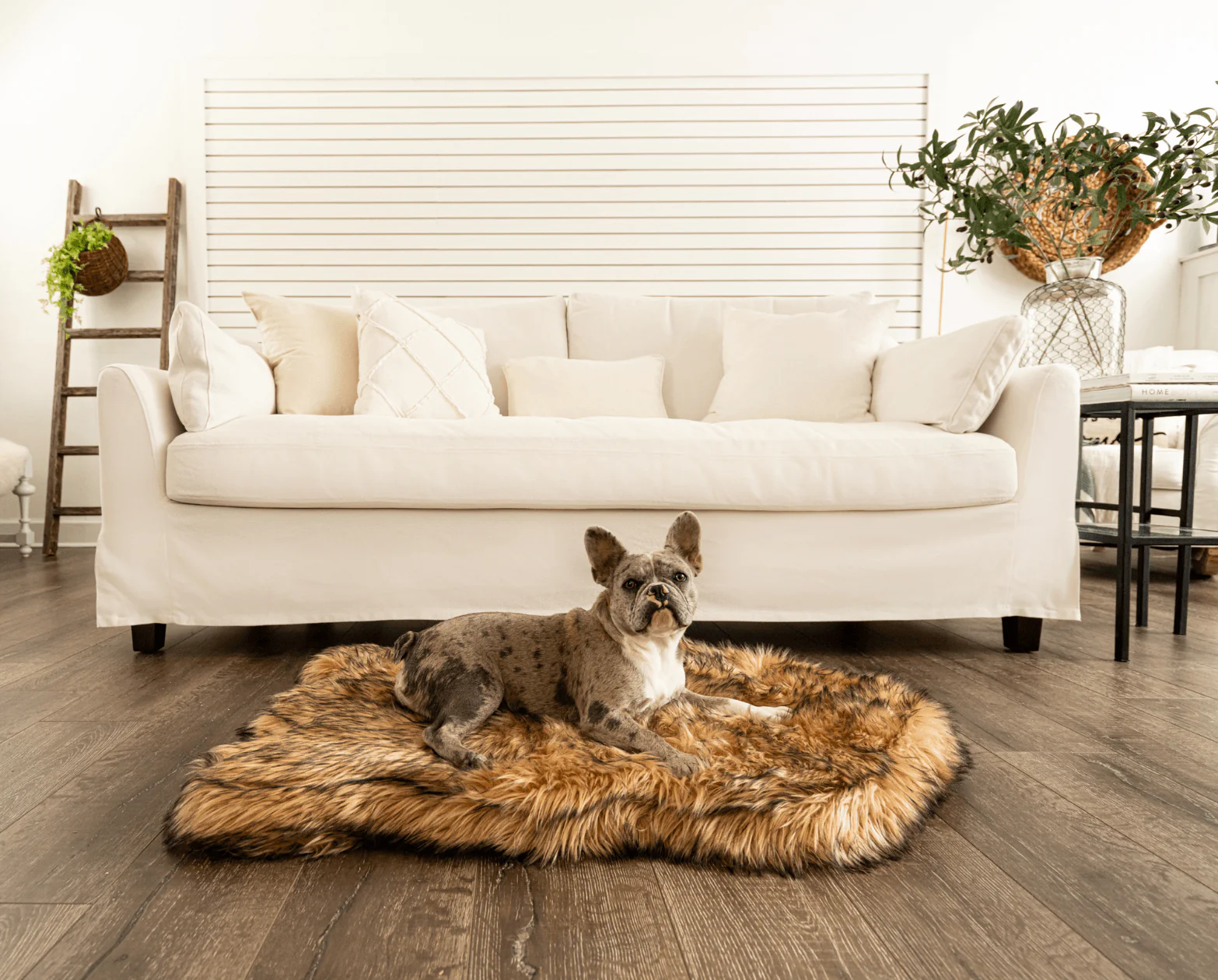 PupRug by Paw.com® Faux Fur Orthopedic Dog Bed - Curve Sable Tan - Image 5