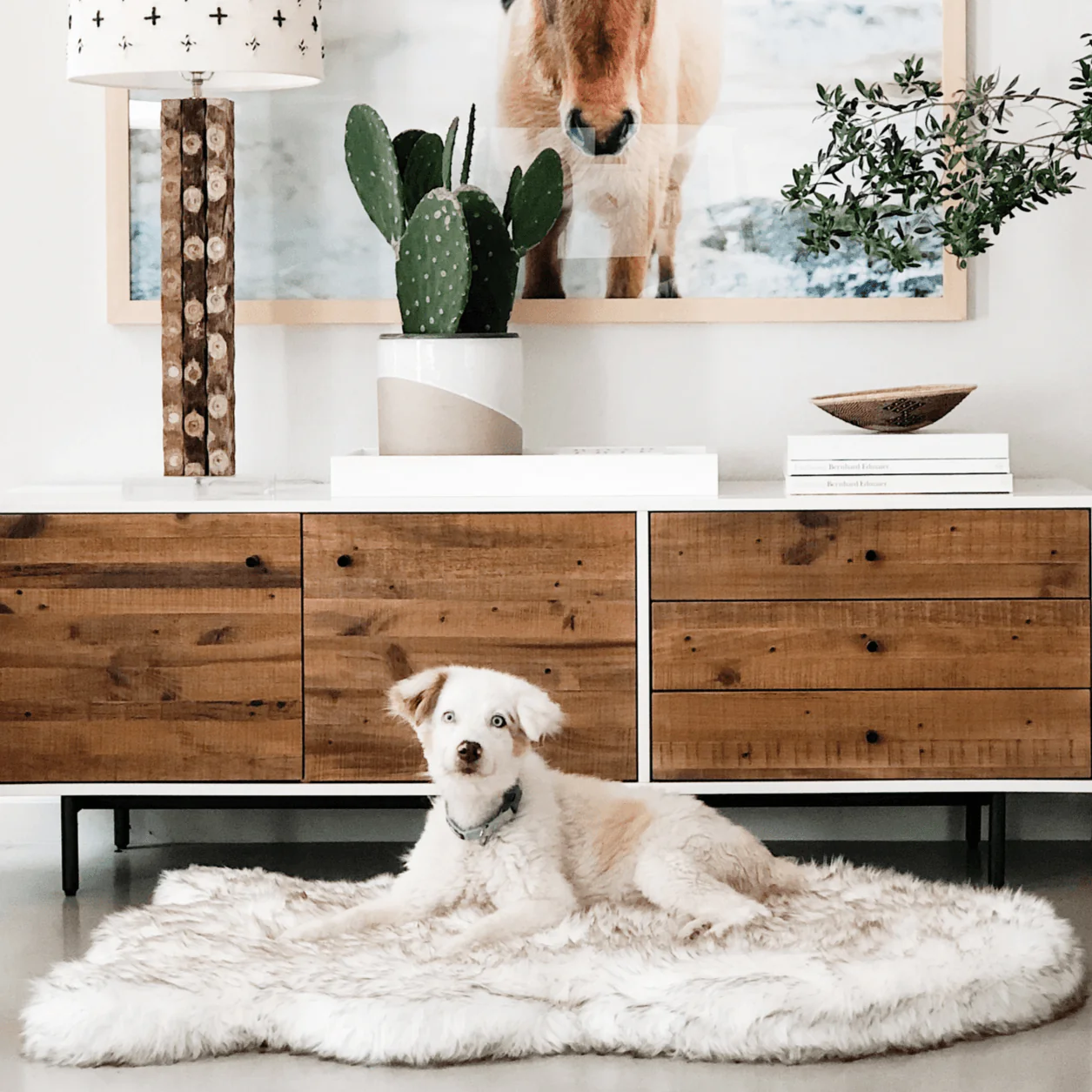 PupRug by Paw.com® Faux Fur Orthopedic Dog Bed - Curve White with Brown Accents - Image 11