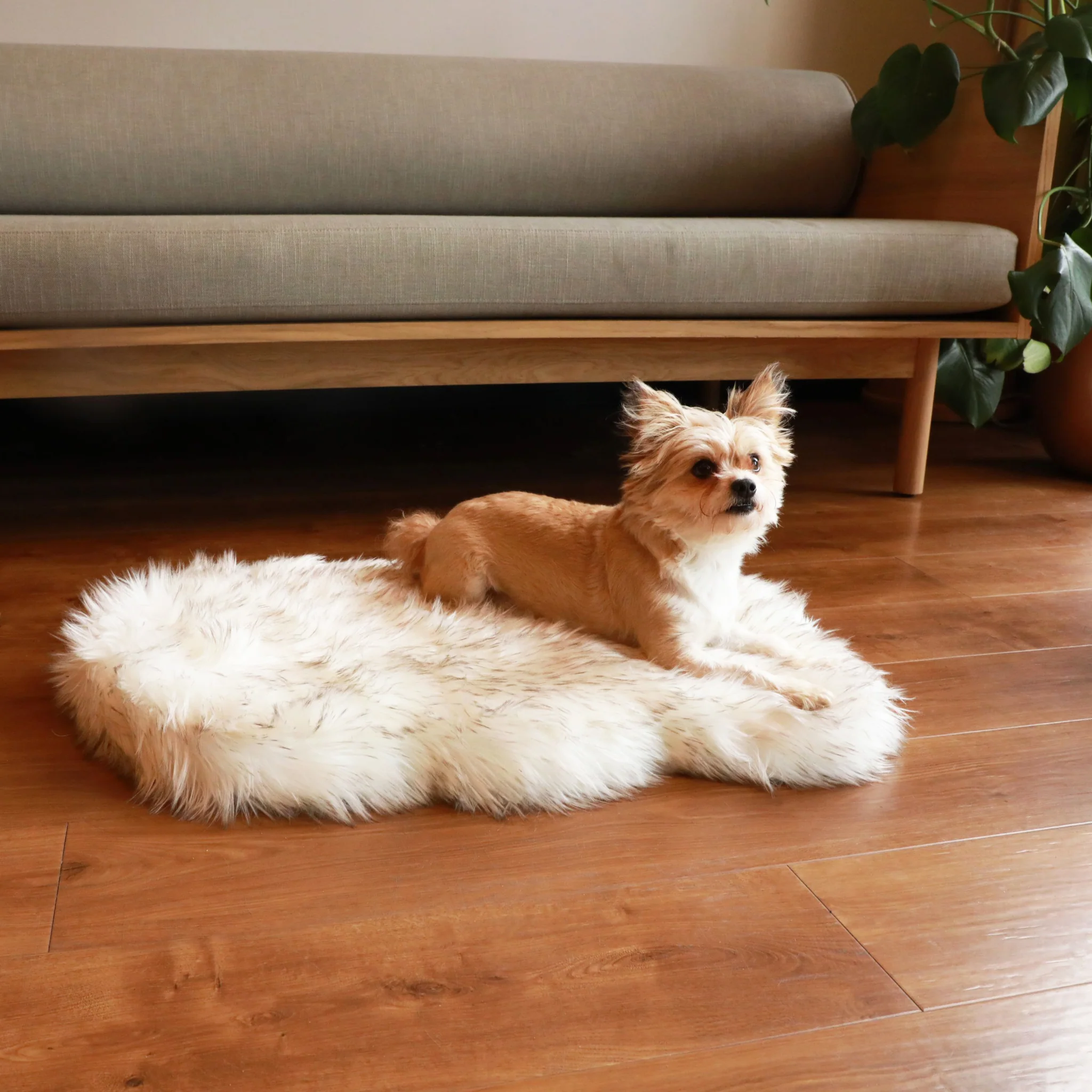 PupRug by Paw.com® Faux Fur Orthopedic Dog Bed - Curve White with Brown Accents - Image 3