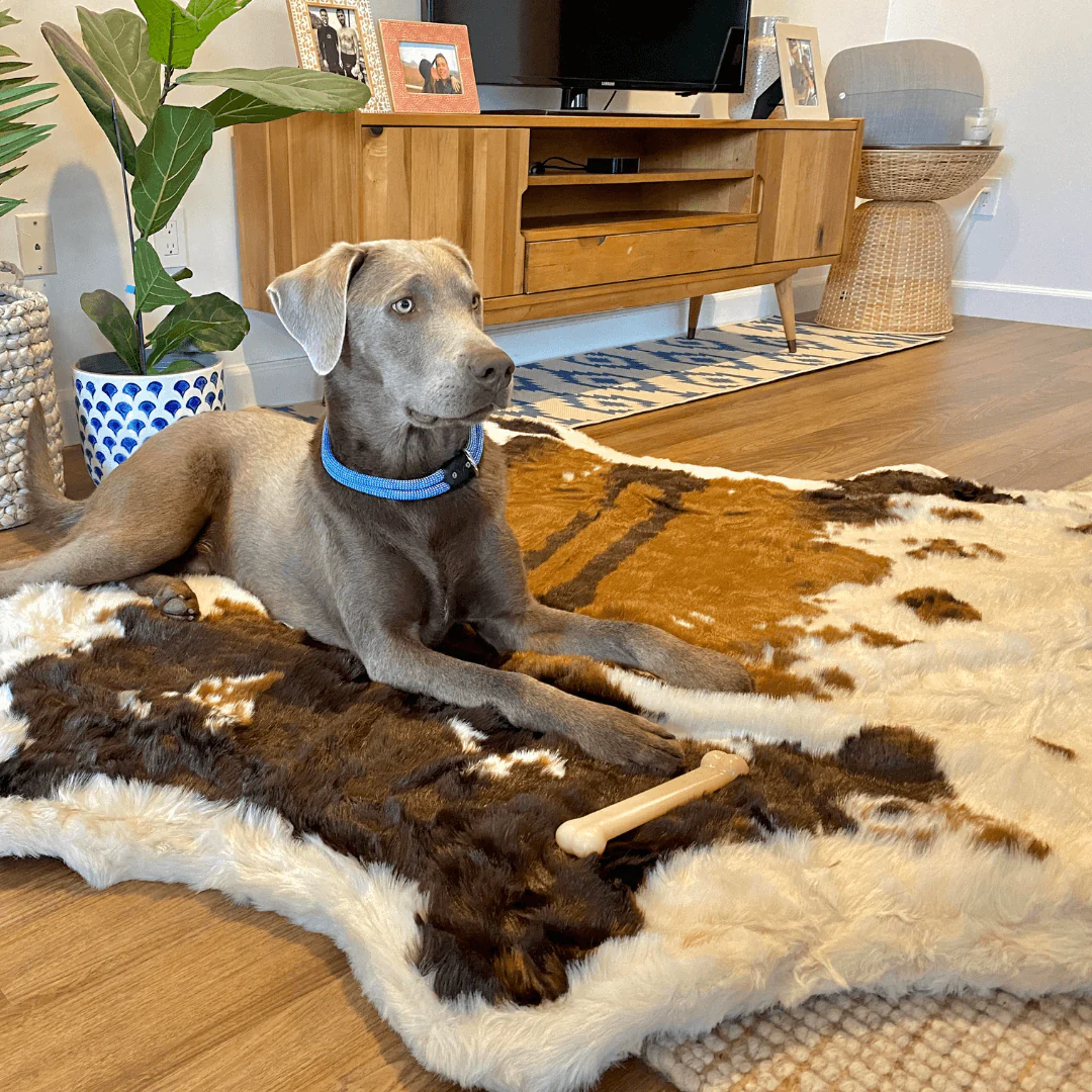 PupRug® Animal Print Memory Foam Dog Bed - Brown Faux Cowhide - Image 4