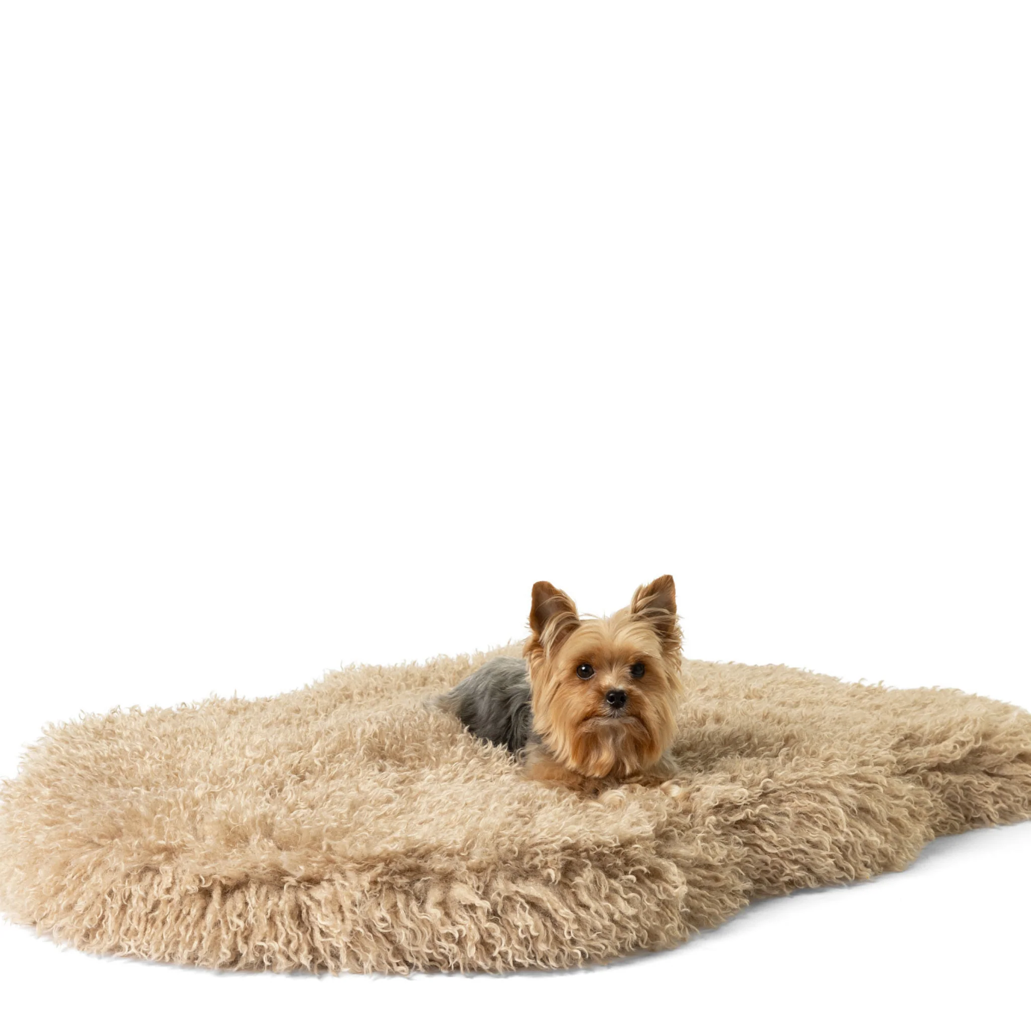 PupRug® Luxe Faux Fur Orthopedic Dog Bed -  Plush Sheep Tan - Image 14