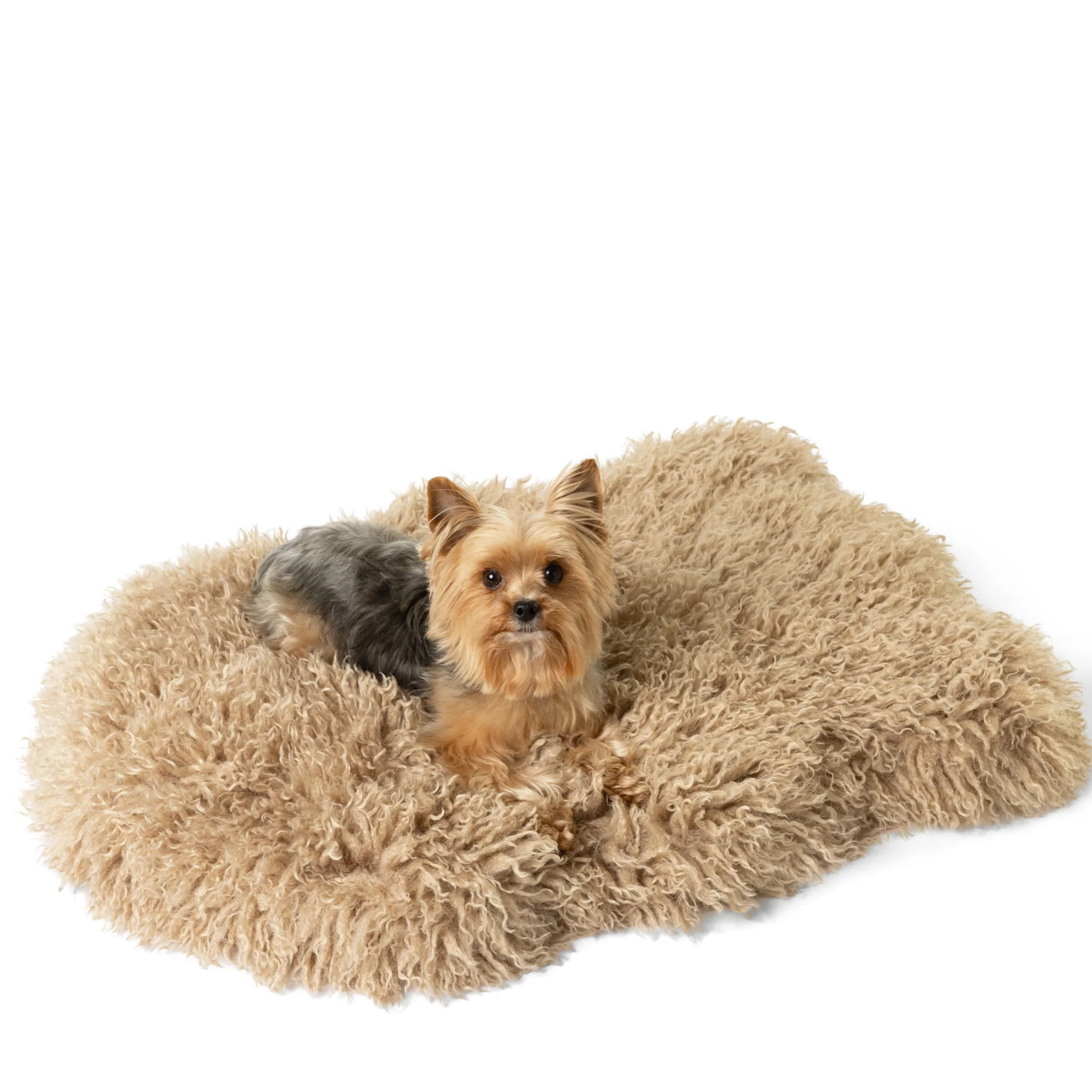 PupRug® Luxe Faux Fur Orthopedic Dog Bed -  Plush Sheep Tan - Image 5