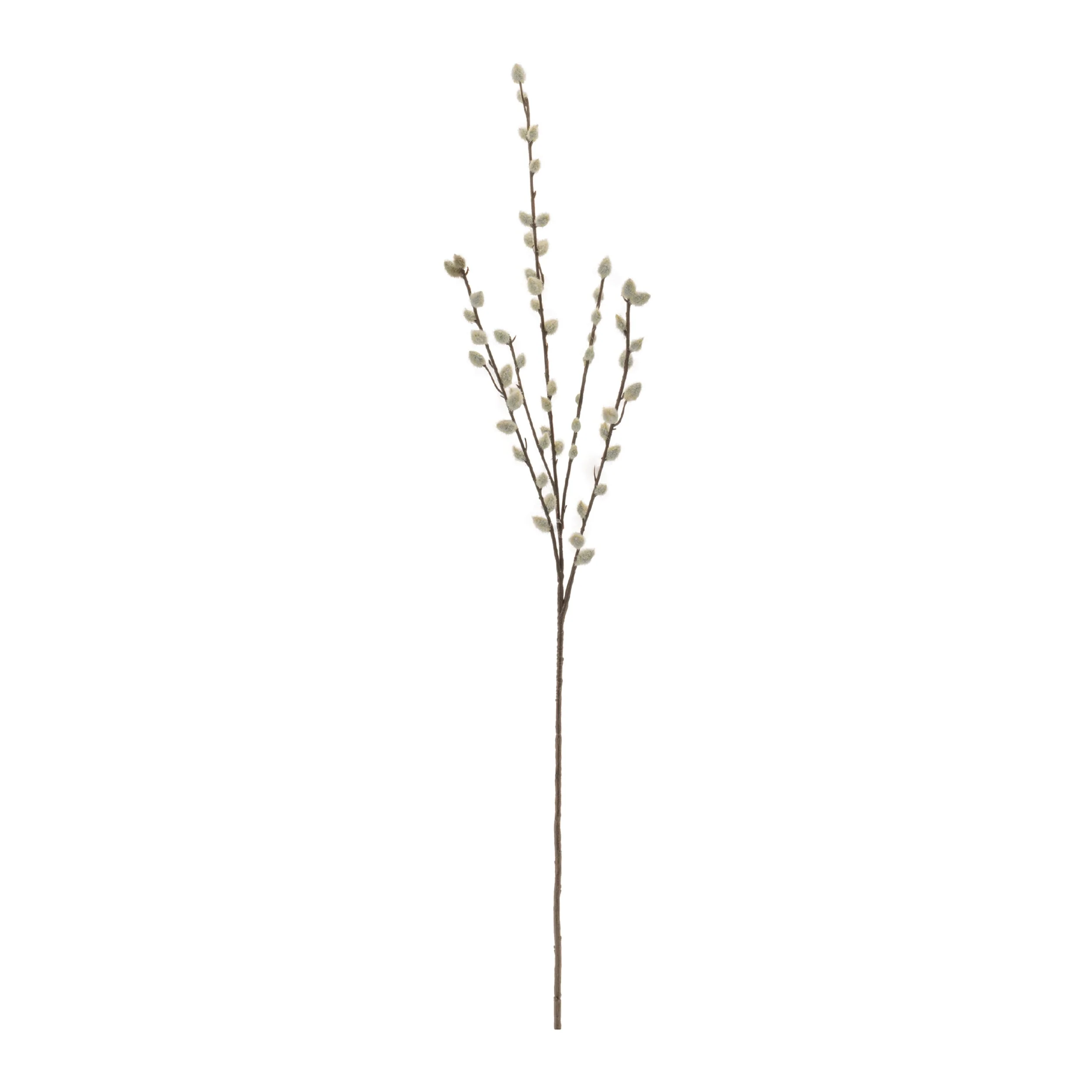Pussy Willow Twig Spray (Set of 6) - Image 2
