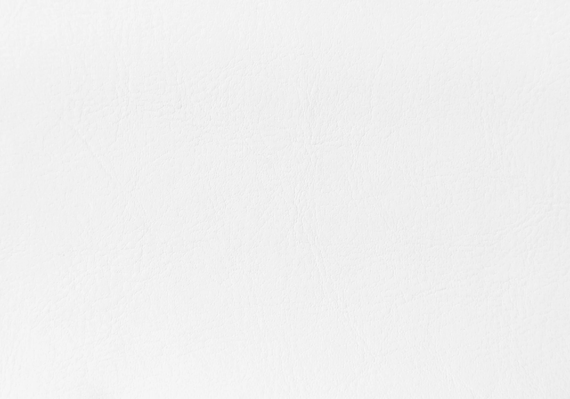 Queen Size Upholstered Bed Headboard - White, Transitional - Image 4