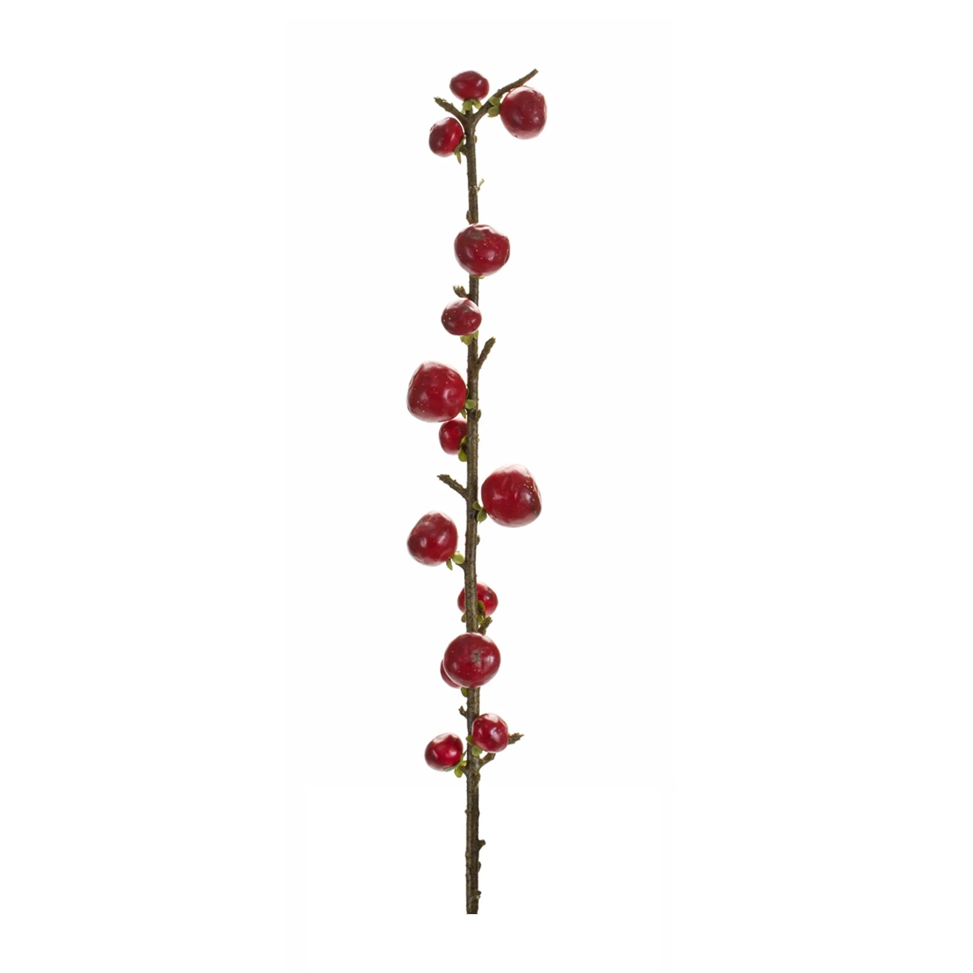 Red Berry Twig Stem (Set of 6) - Image 2