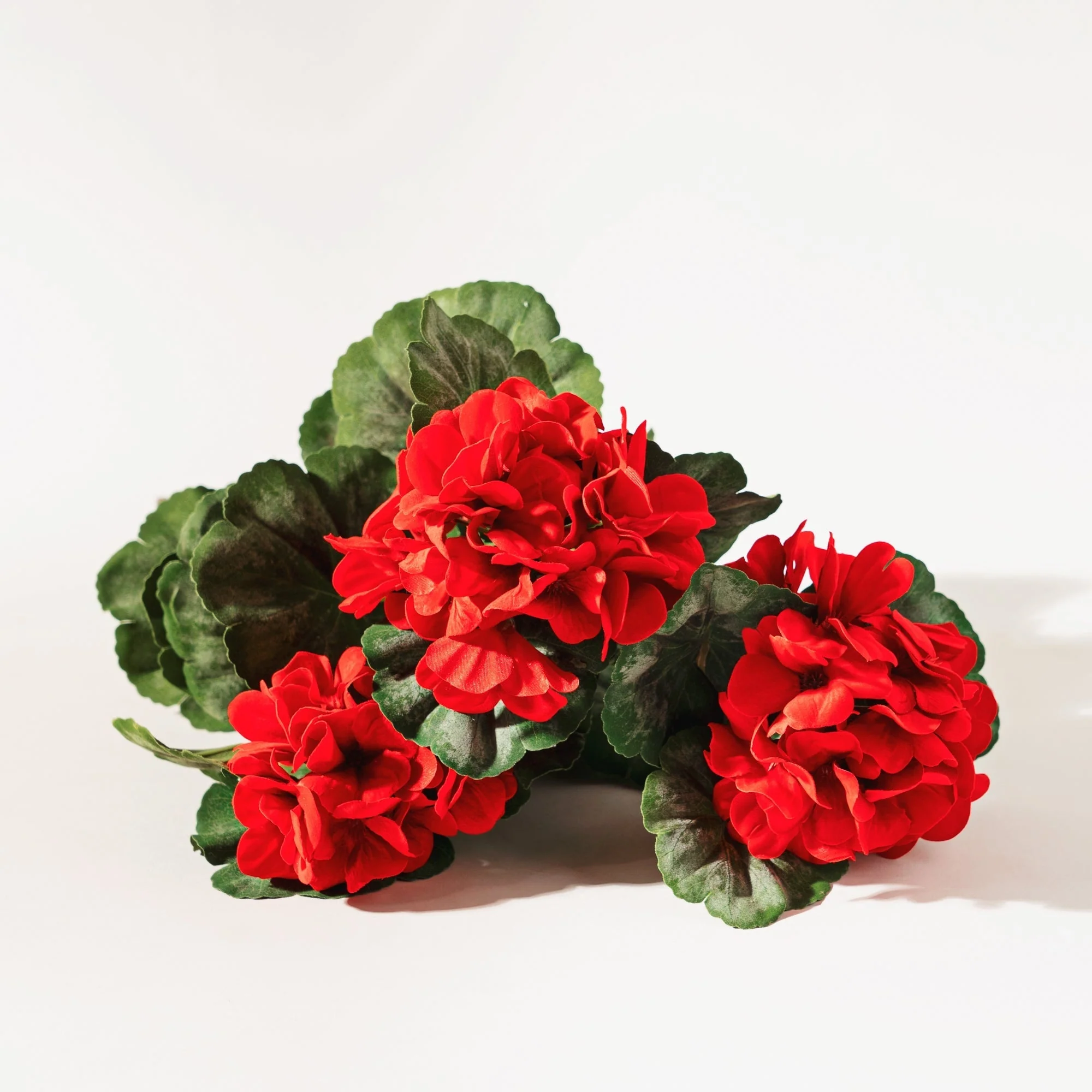 Red Geranium Floral Bush (Set of 2) - Image 3