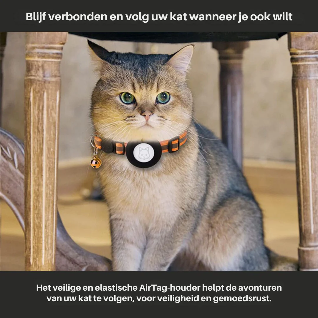Reflective Cat Collar with GPS Tracker Holder Breakaway Safety Collar - Image 2