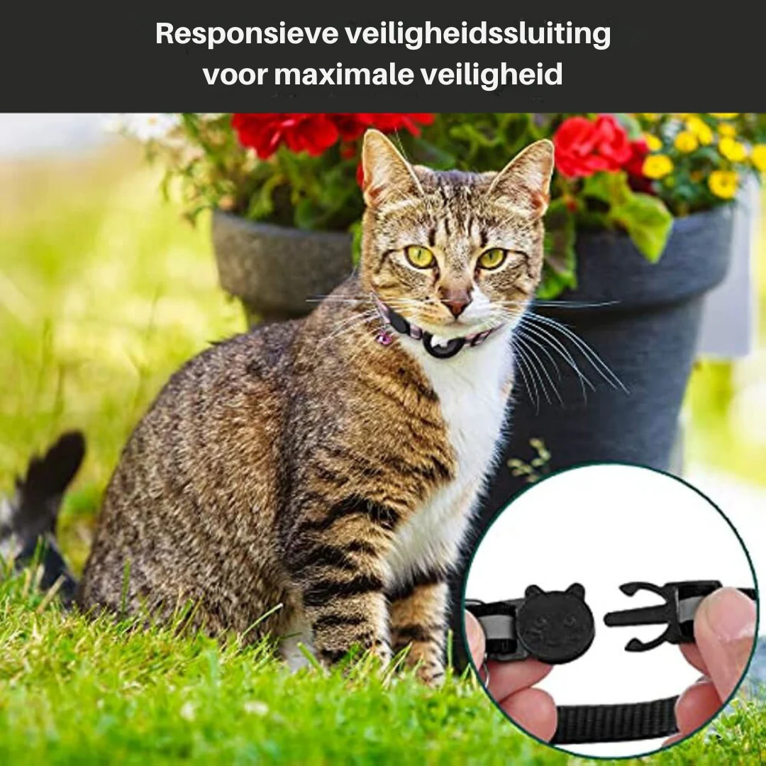 Reflective Cat Collar with GPS Tracker Holder Breakaway Safety Collar - Image 4