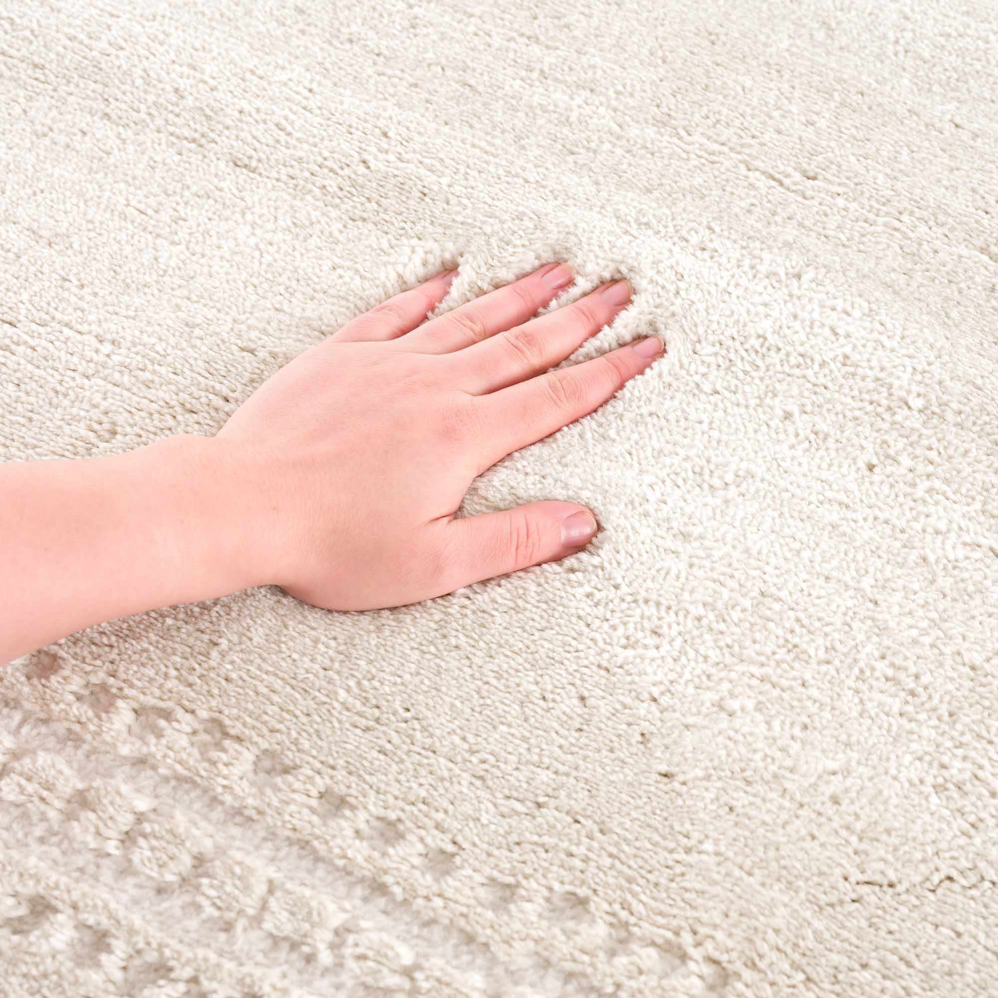 Ryuu Ivory Carved Area Rug - Image 5