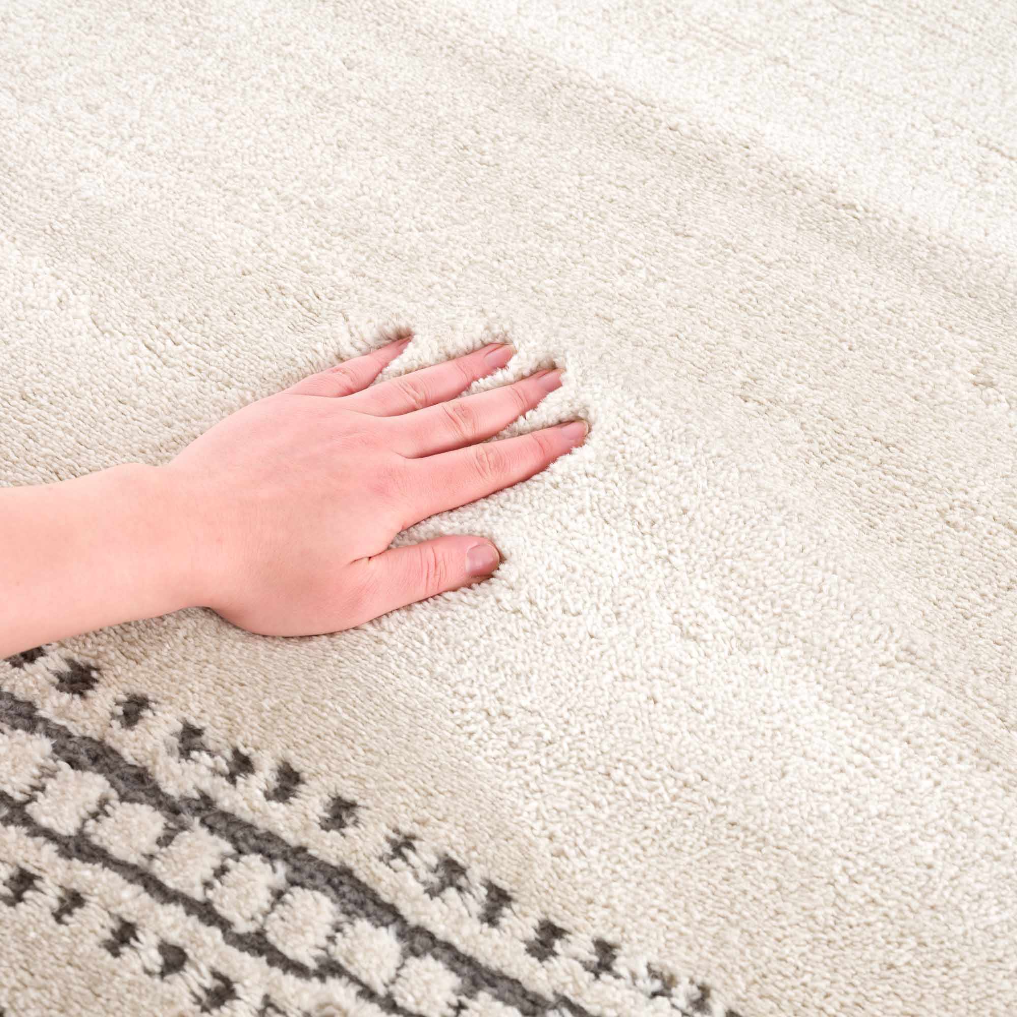 Ryuu Ivory & Gray Area Rug - Promo - Image 5