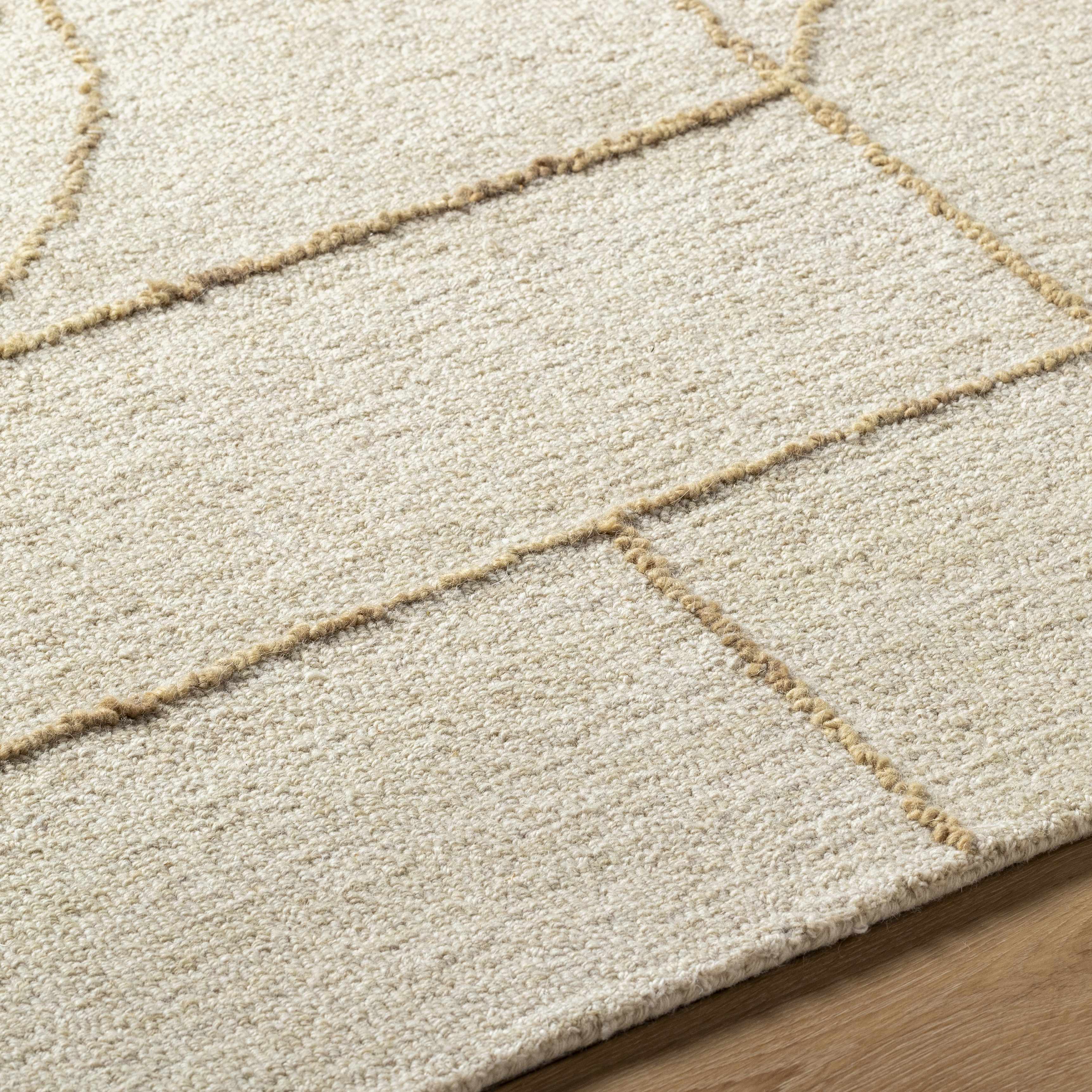 Sanaz Ivory Area Rug - Image 6