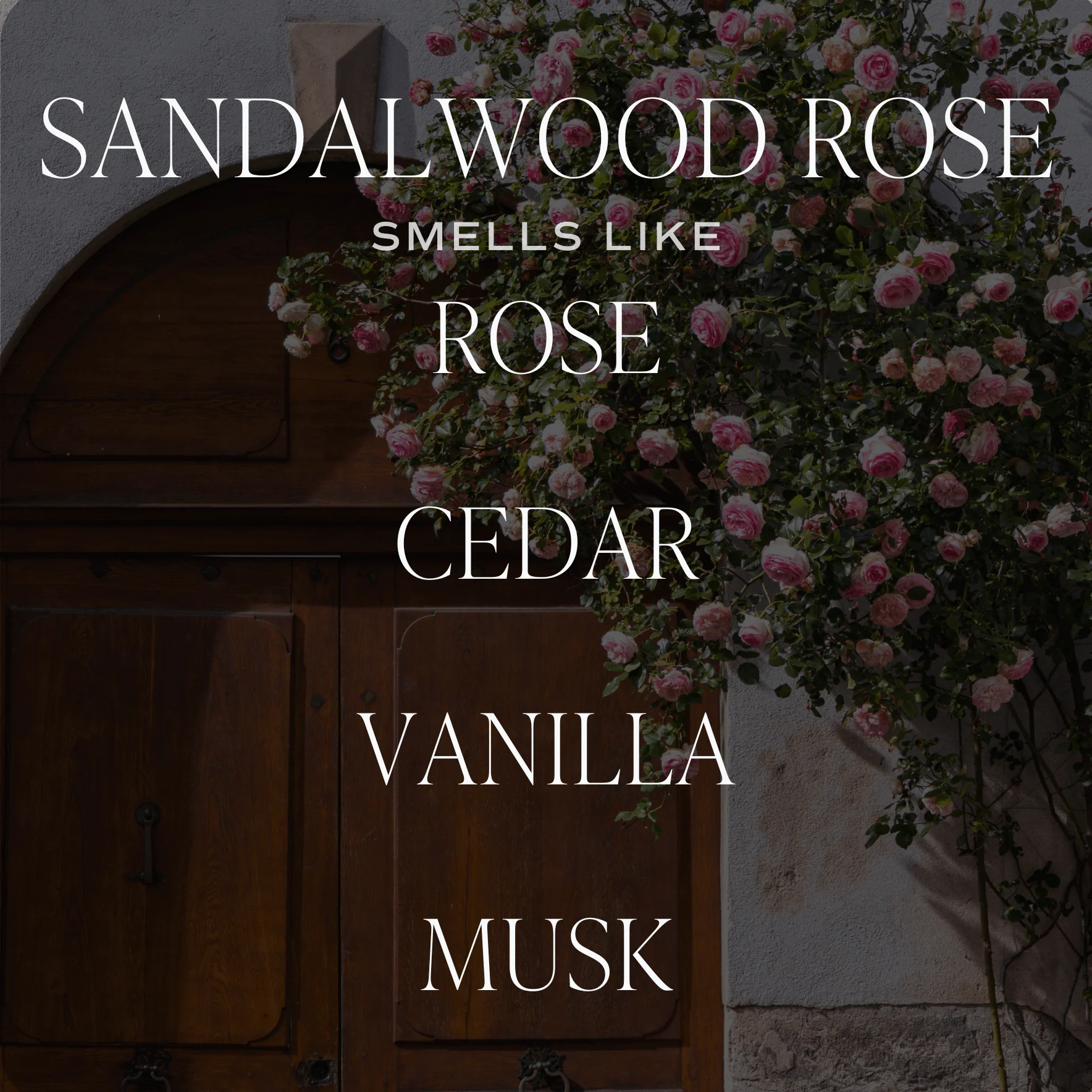 Sandalwood Rose Tinted Glass Jar Reed Diffuser - Image 3