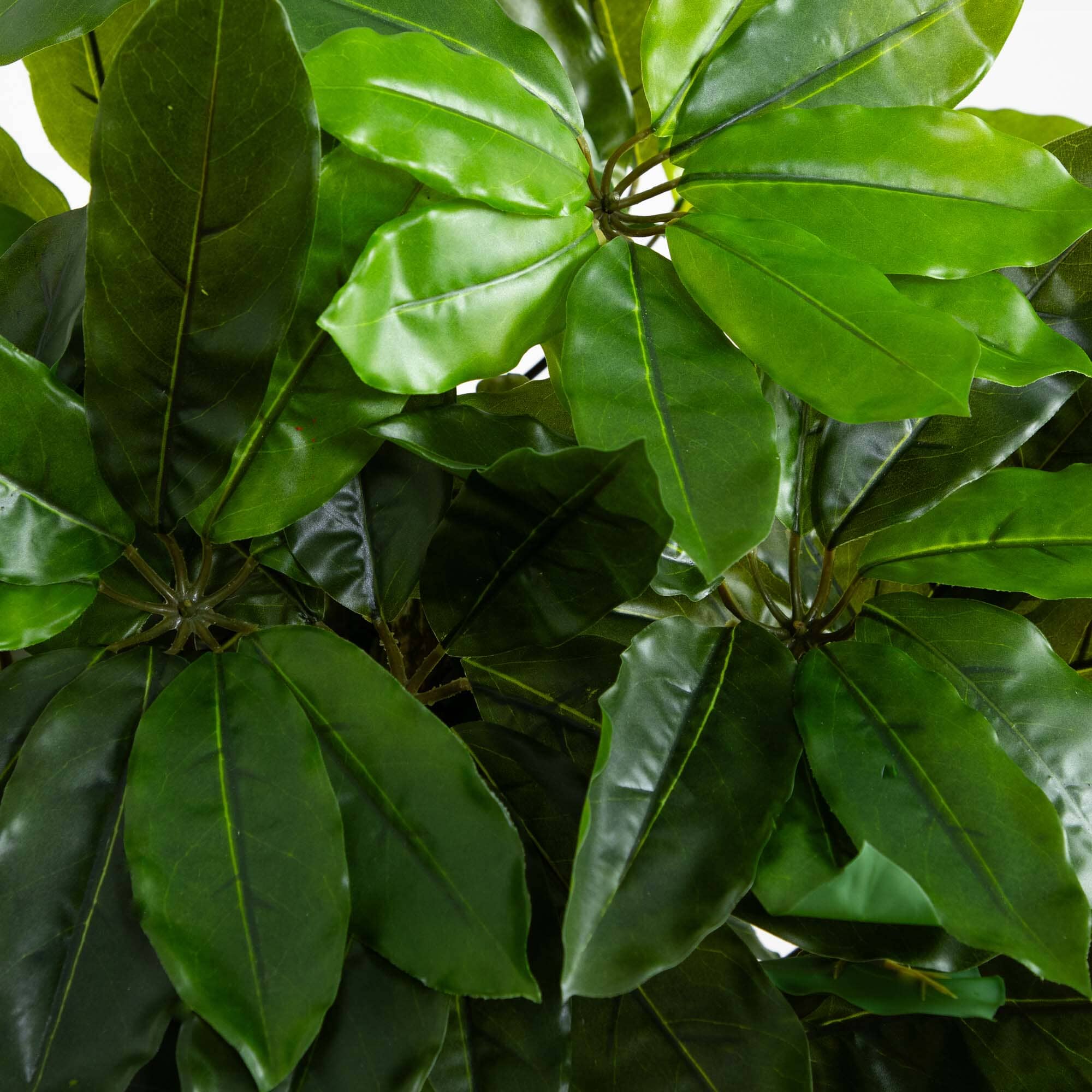 Schefflera Artificial Tree UV Resistant (Indoor/Outdoor) - Image 2