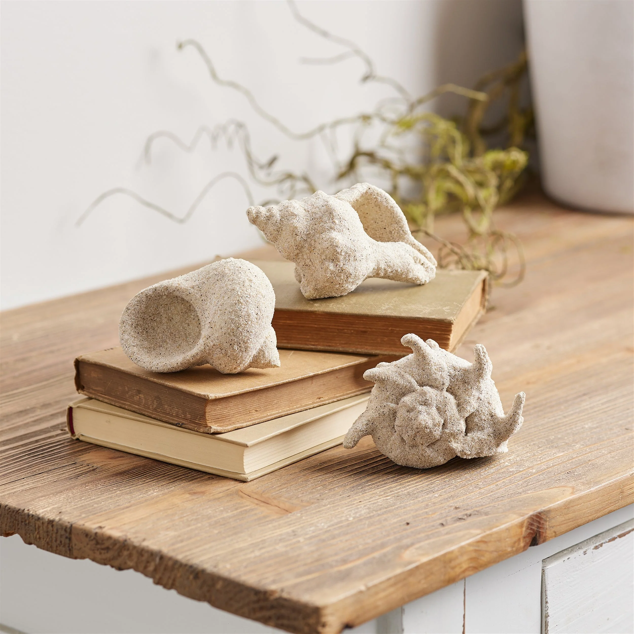 Sea shell filler décor (set of 12) - Image 2