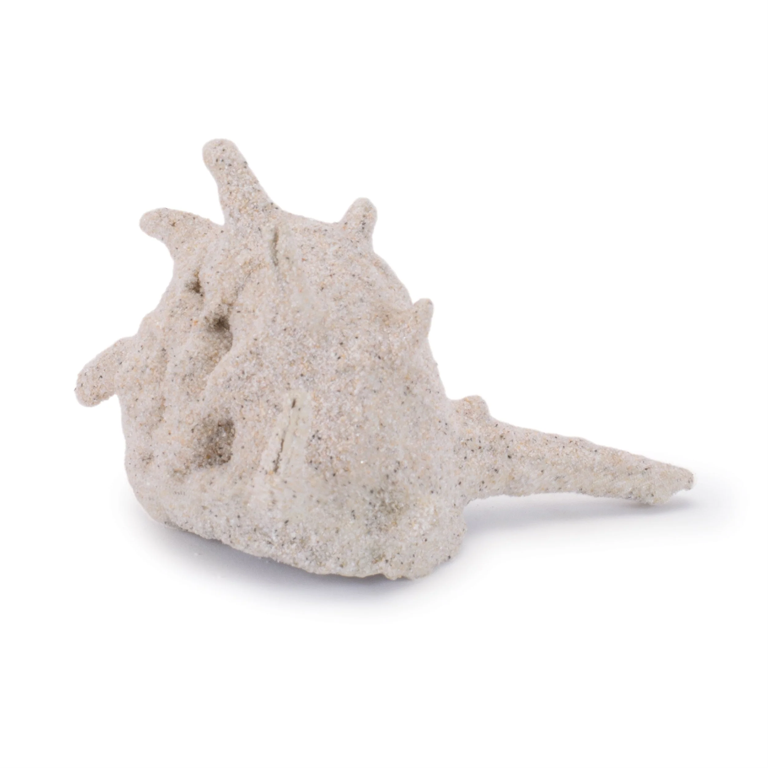 Sea shell filler décor (set of 12) - Image 3