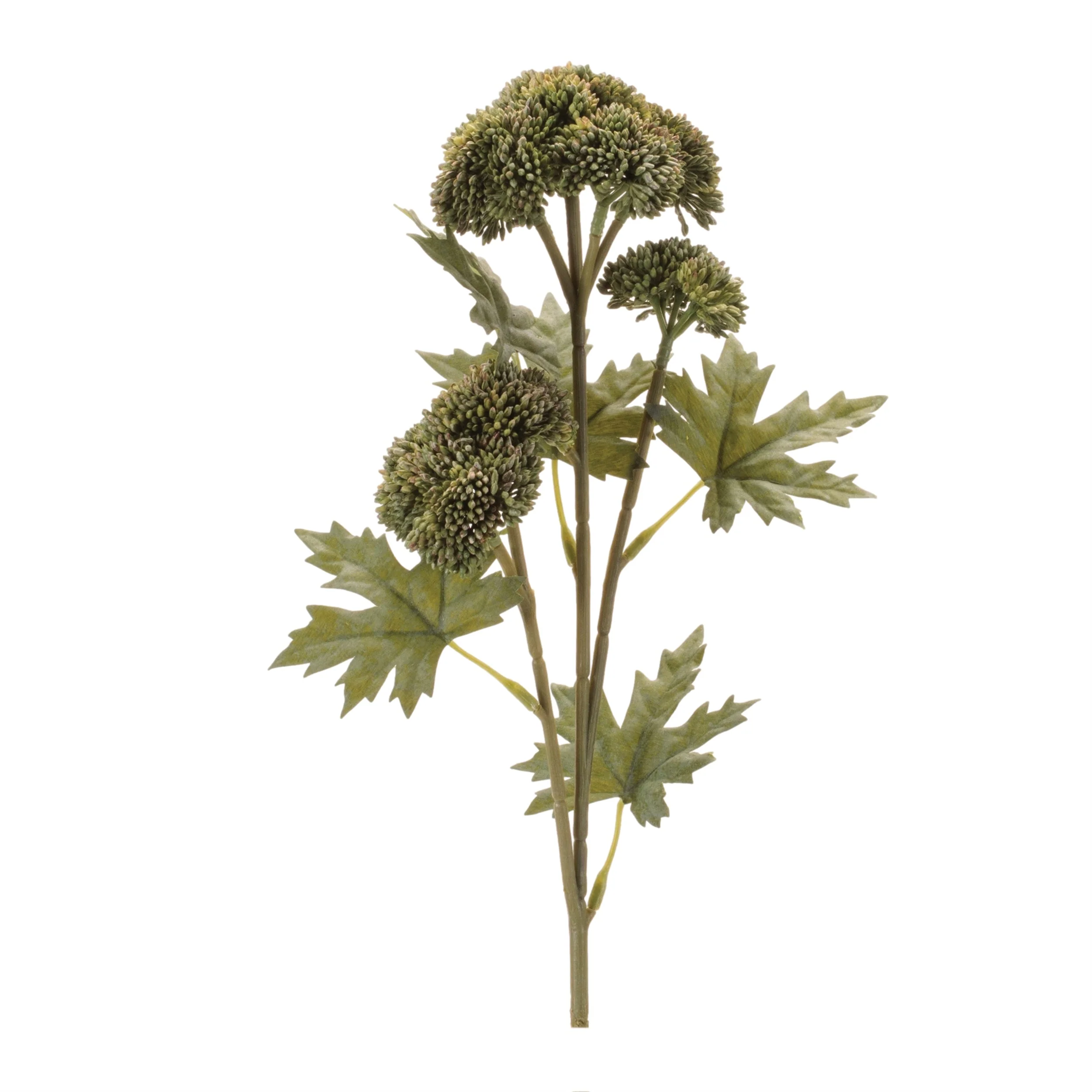 Sedum Succulent Spray (Set of 6)