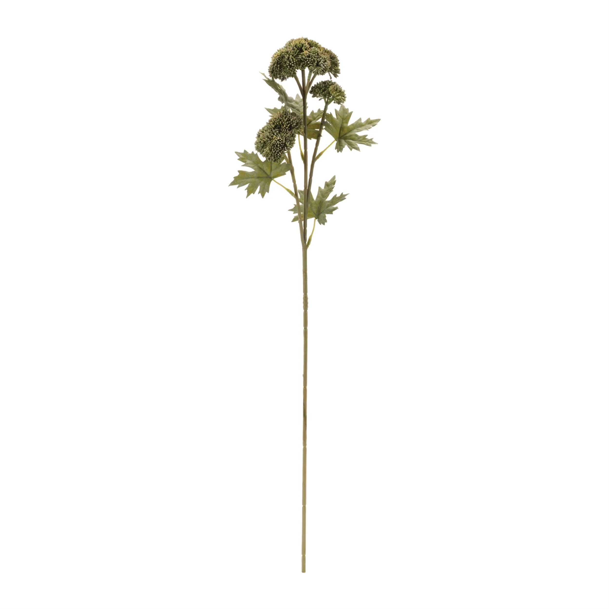 Sedum Succulent Spray (Set of 6) - Image 2