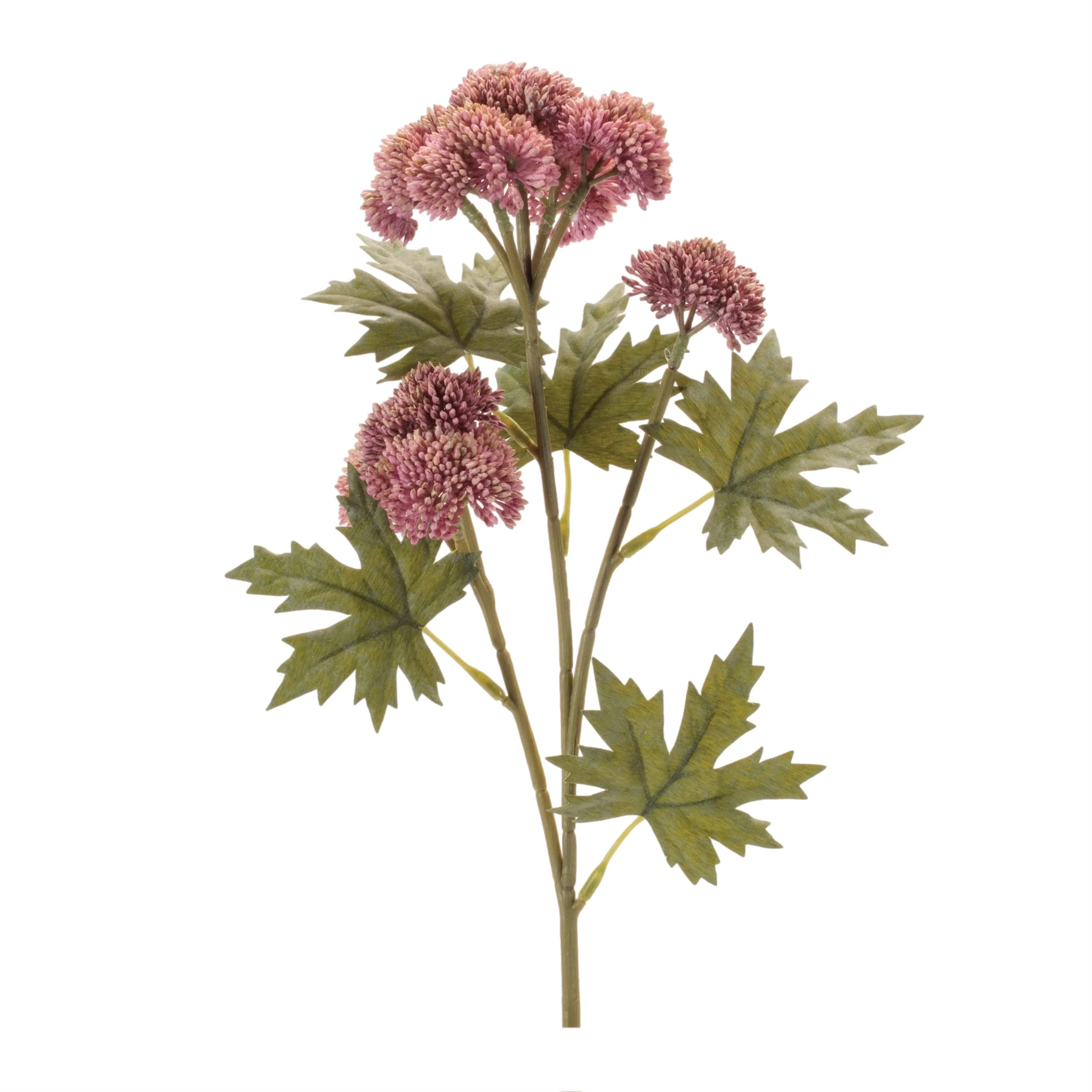 Sedum Succulent Spray (Set of 6) - Image 3