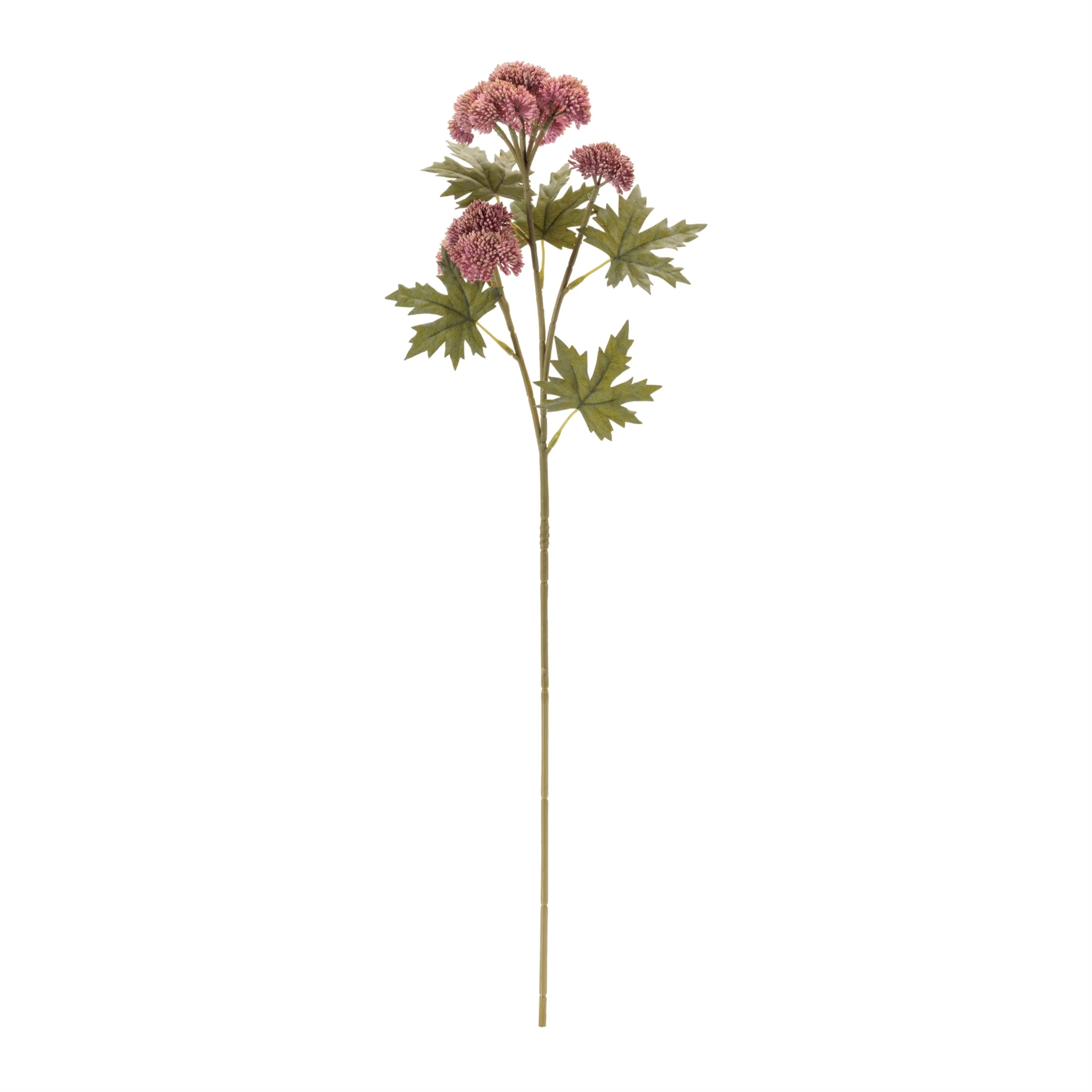 Sedum Succulent Spray (Set of 6) - Image 4