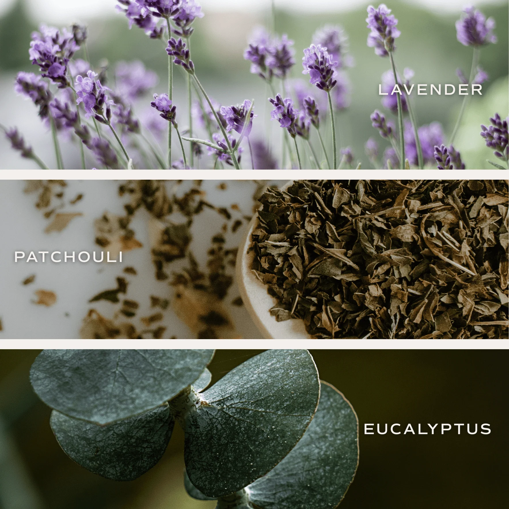 Self Care Soy Candle - Clear Jar - 9 oz (Lavender and Eucalyptus, Calm and Comfort) - Image 6