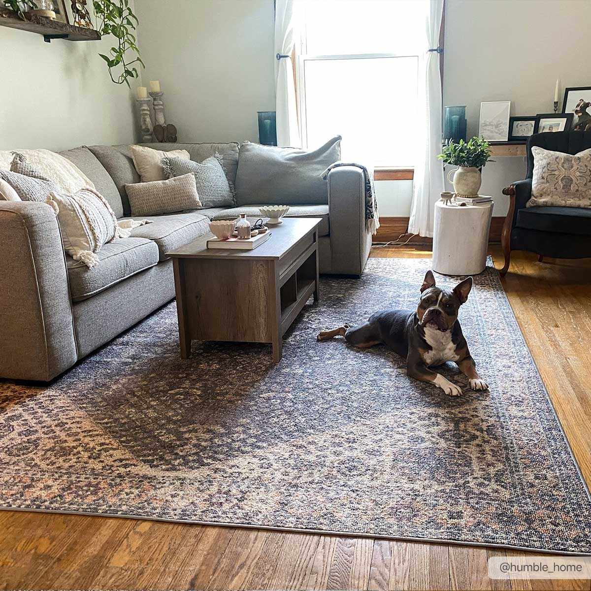 Seok Washable Area Rug - Clearance - Image 3