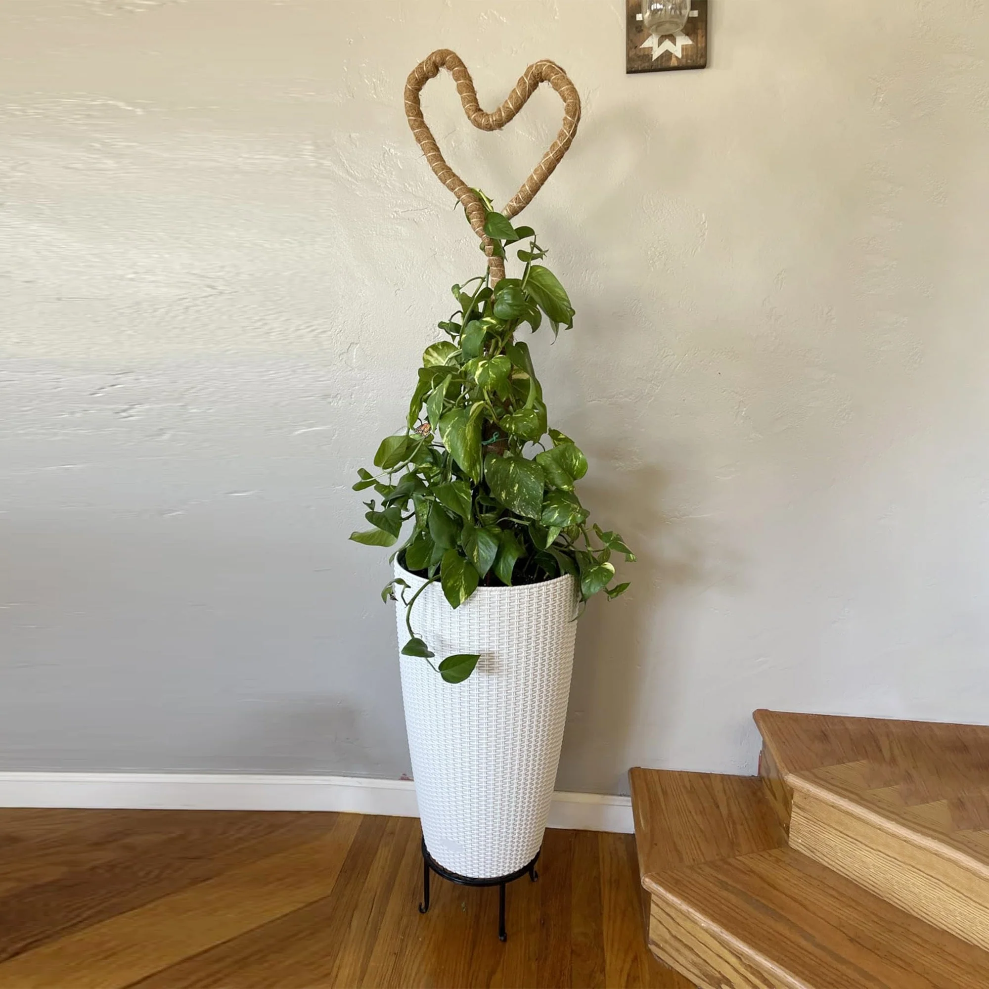 Set of 2 Faux Rattan Tall Planters with Automatic Watering System - Image 14