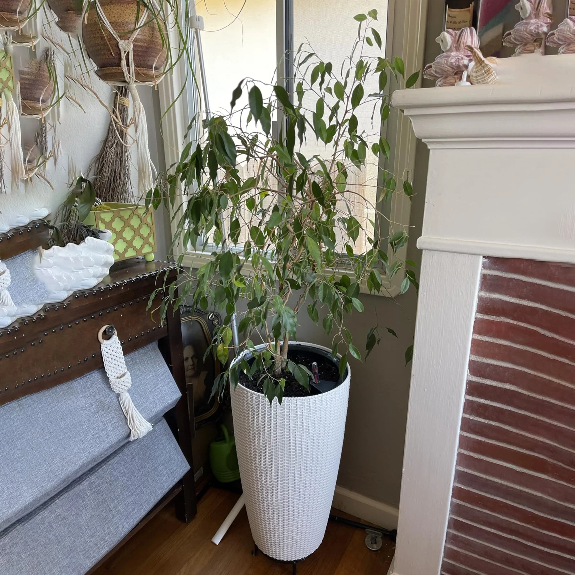 Set of 2 Faux Rattan Tall Planters with Automatic Watering System - Image 15
