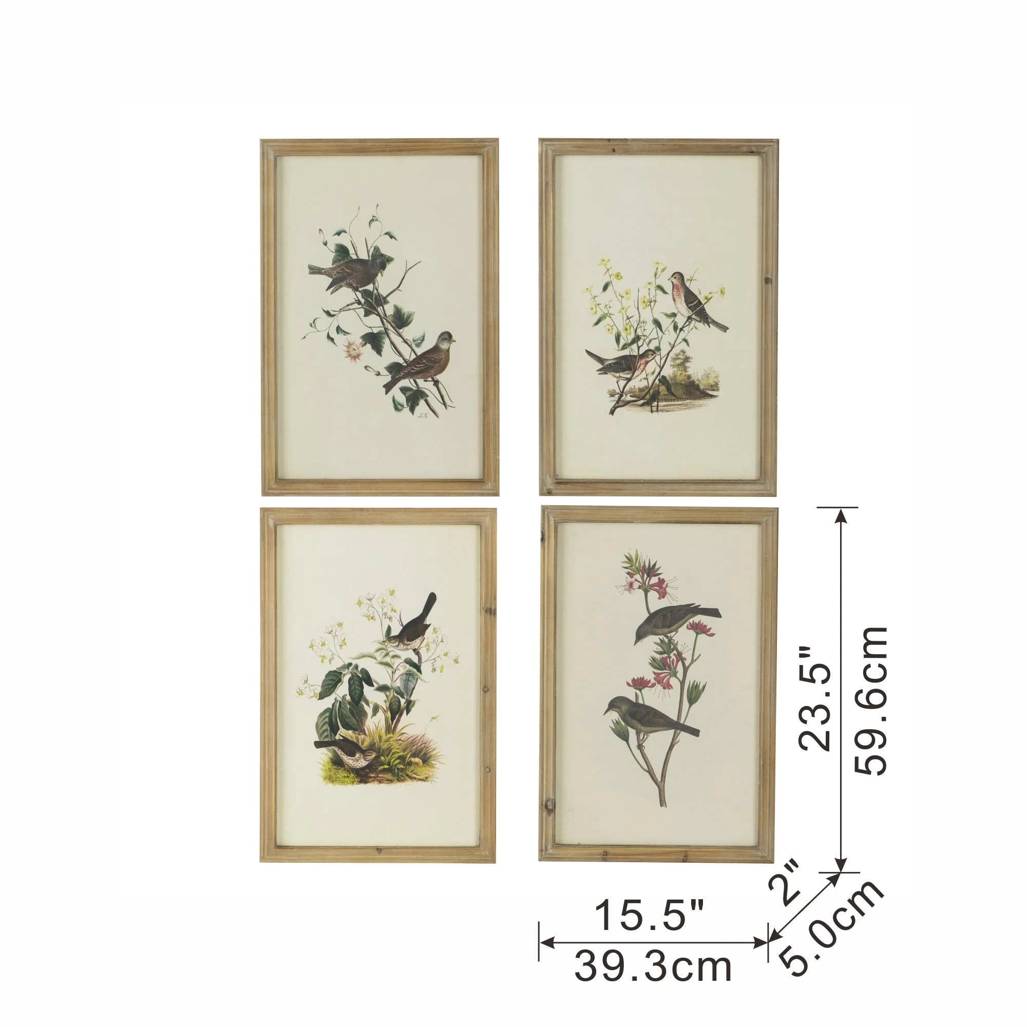 Set of 4 Bird Framed Prints - Image 14