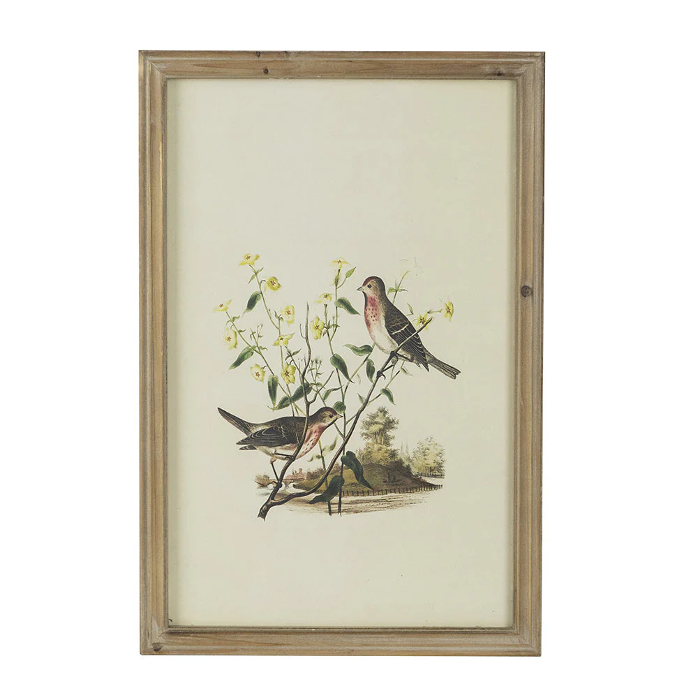 Set of 4 Bird Framed Prints - Image 15