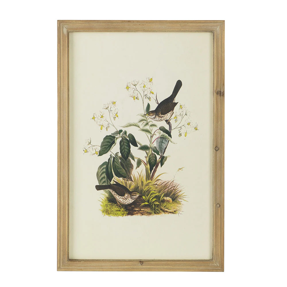 Set of 4 Bird Framed Prints - Image 16