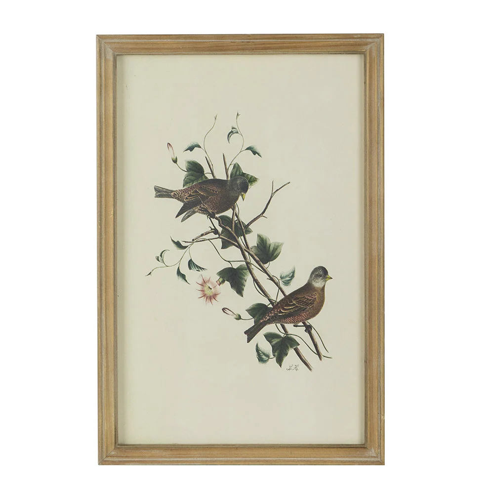Set of 4 Bird Framed Prints - Image 17
