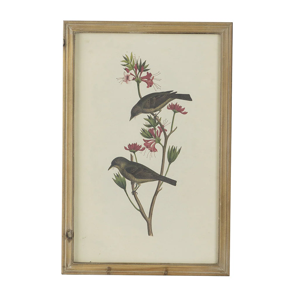 Set of 4 Bird Framed Prints - Image 18
