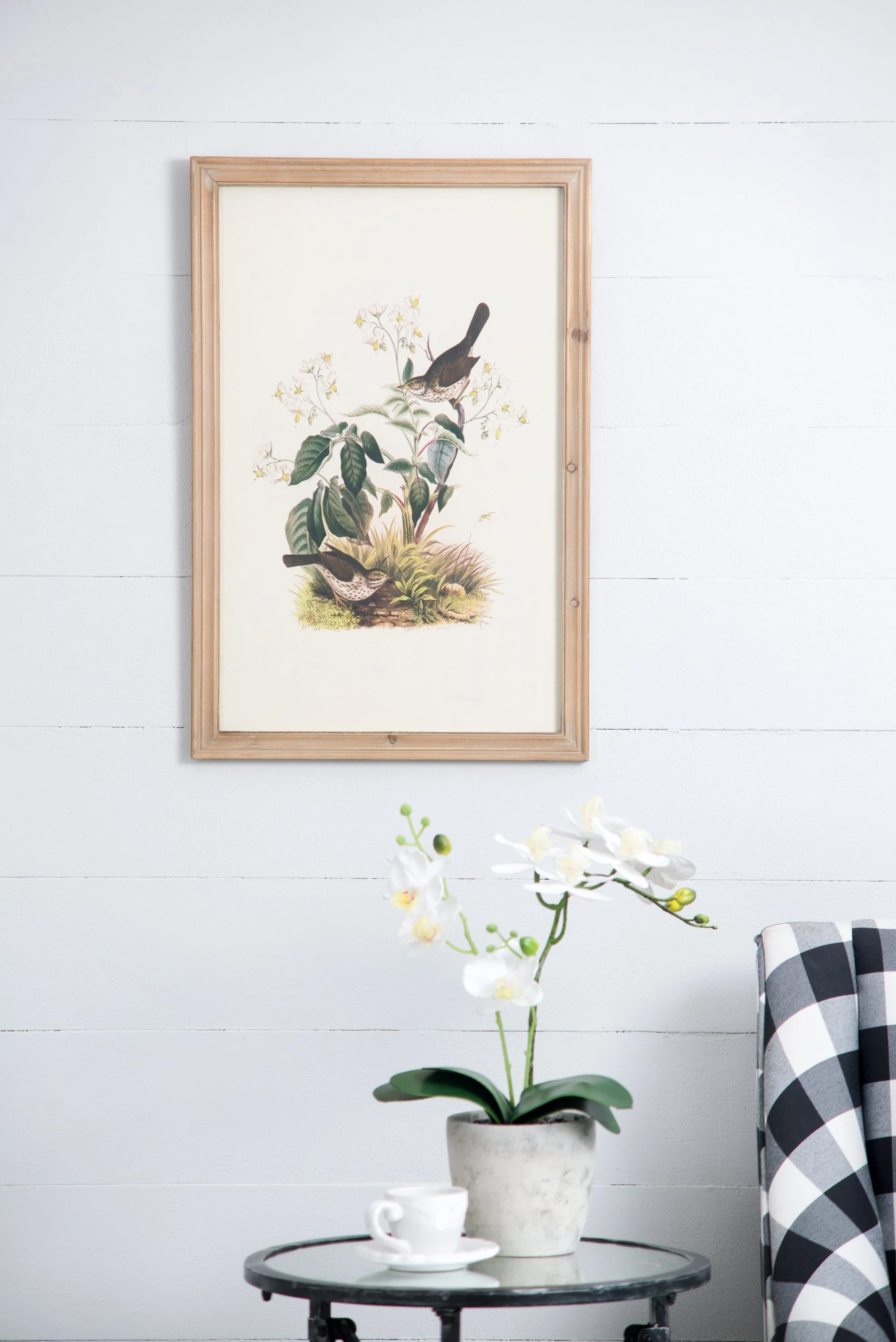 Set of 4 Bird Framed Prints - Image 6