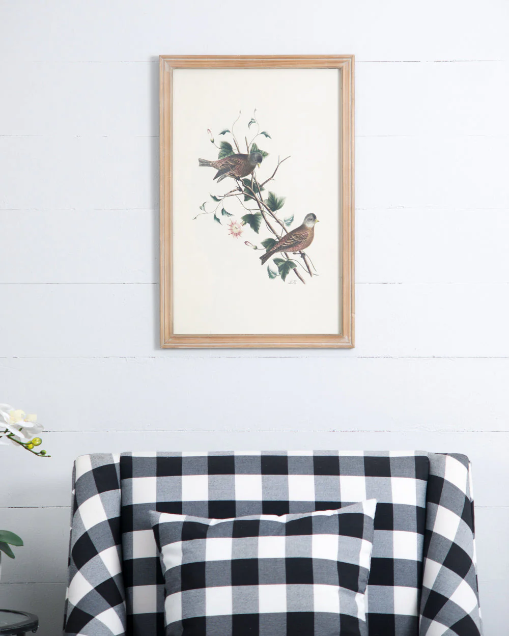 Set of 4 Bird Framed Prints - Image 8